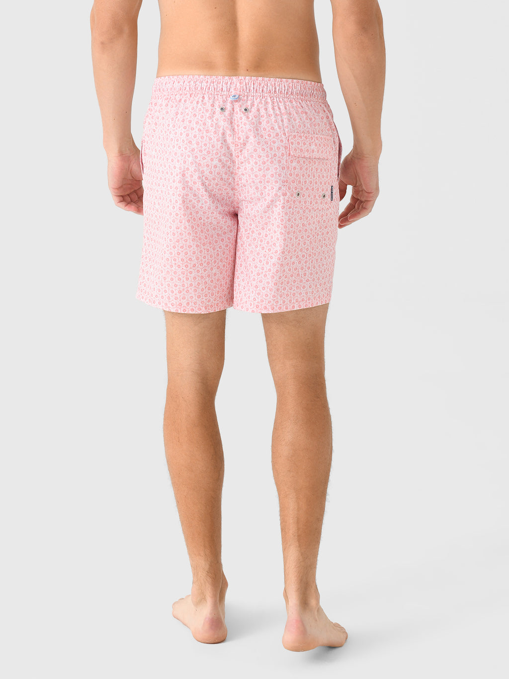 MF25P01xWATERMELON-alt3