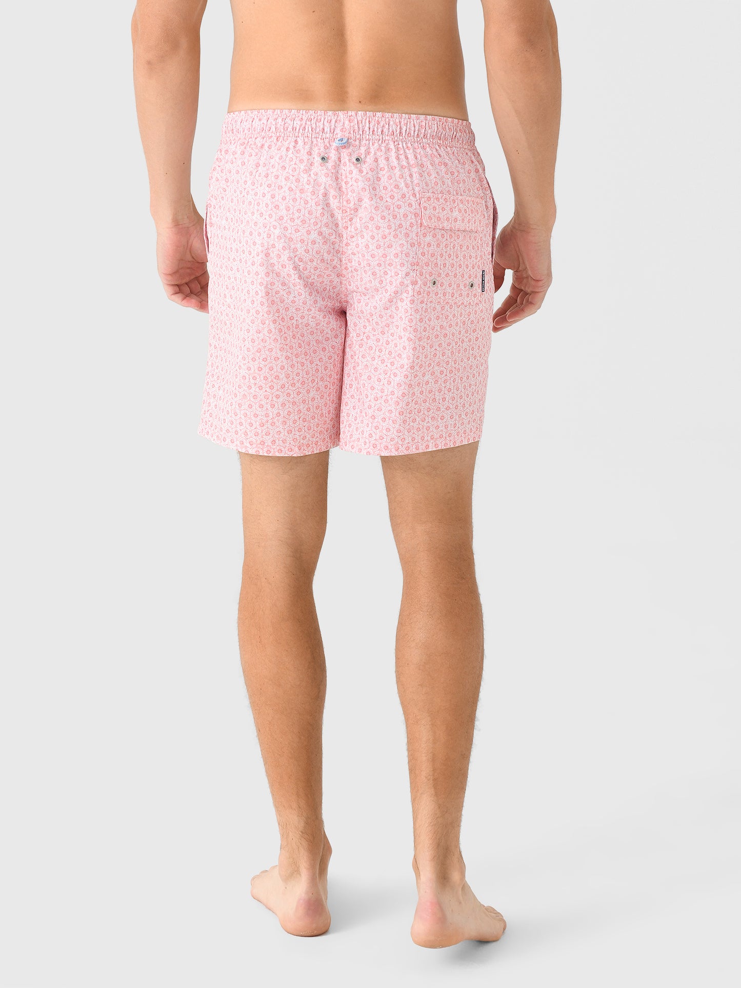 MF25P01xWATERMELON-alt3