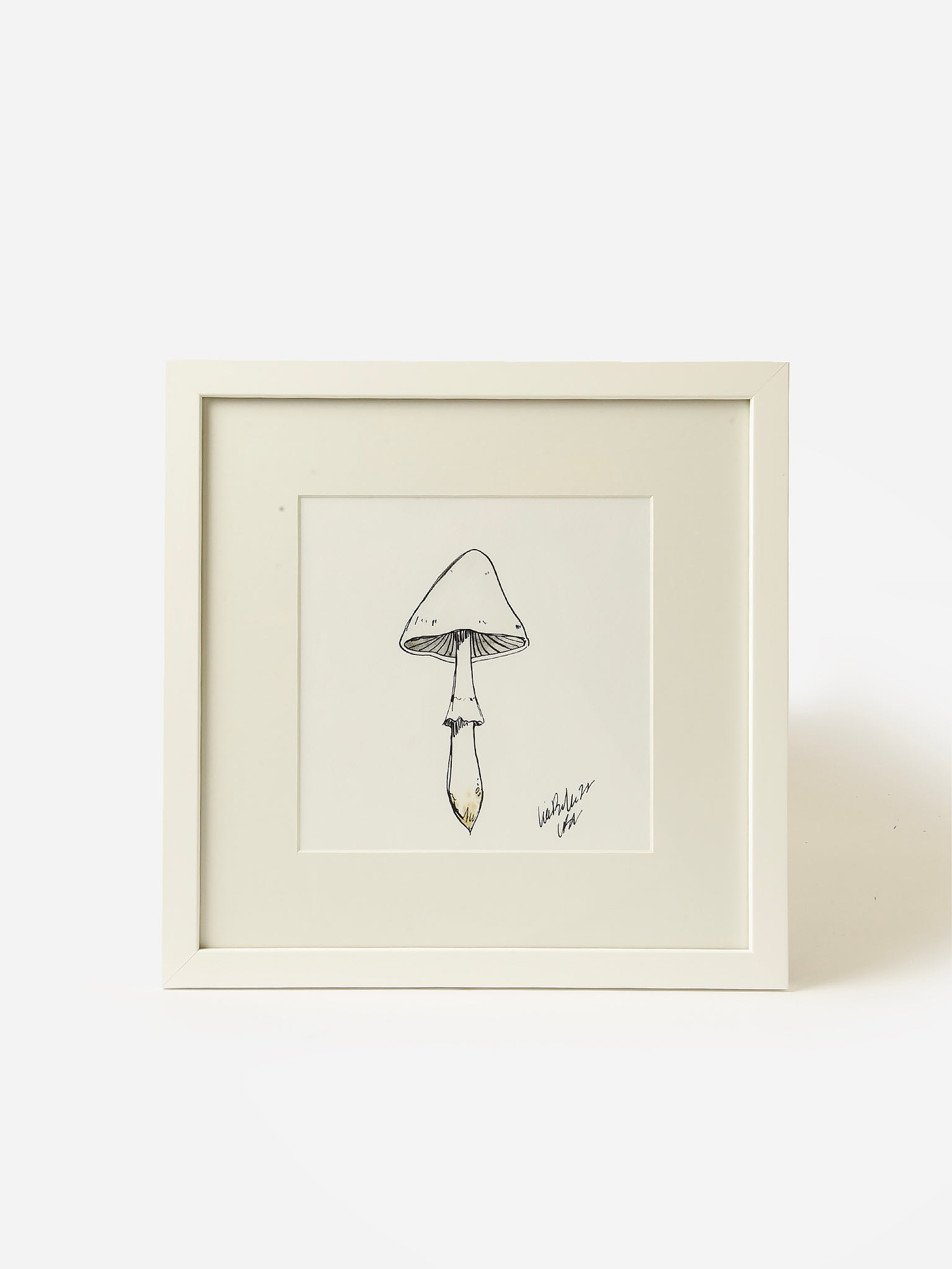 Lia Burke Libaire Mushroom Framed Print - Saint Bernard