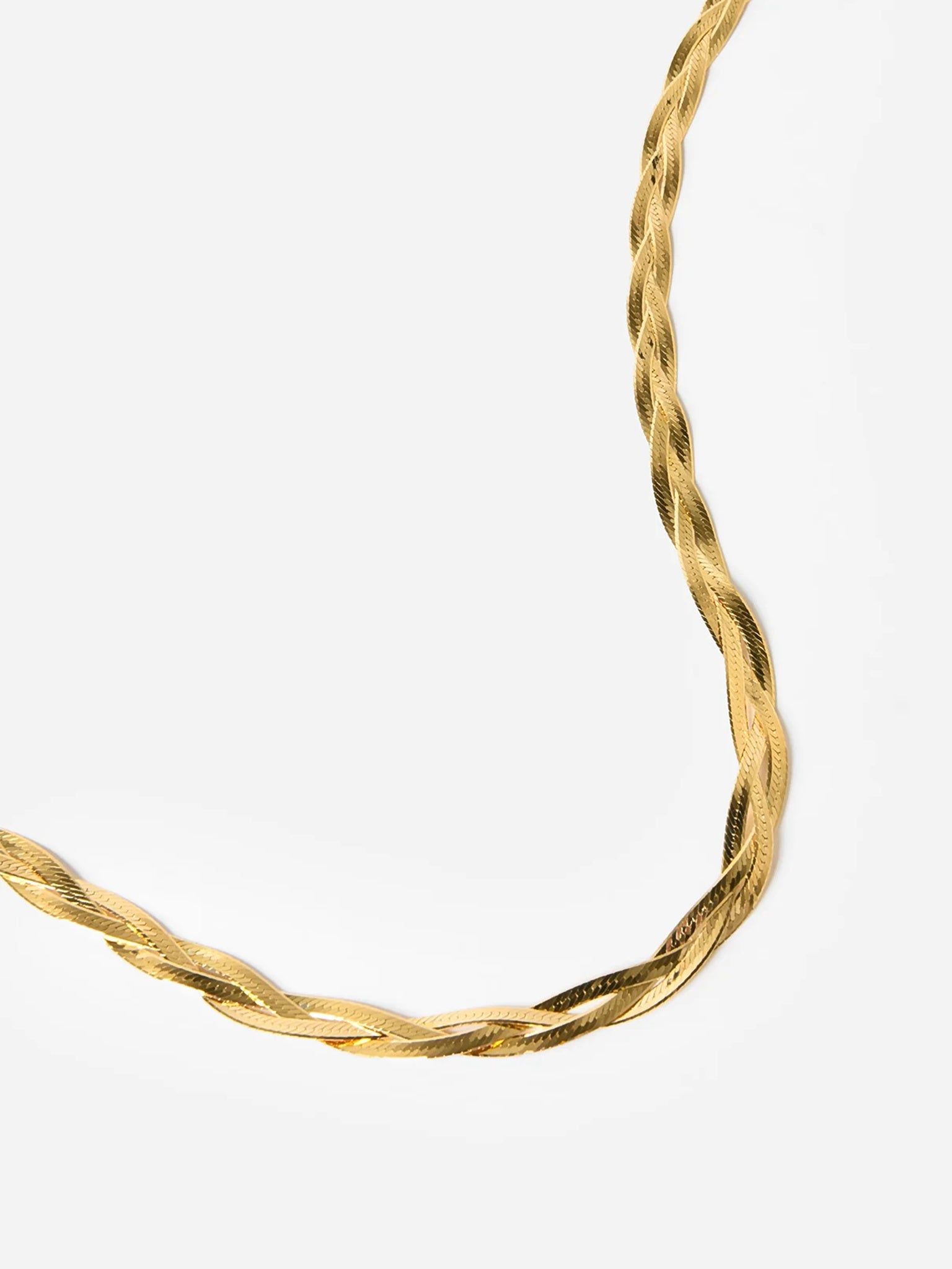 Jennifer Zeuner Jewelry Women's Francesca Necklace - Saint Bernard