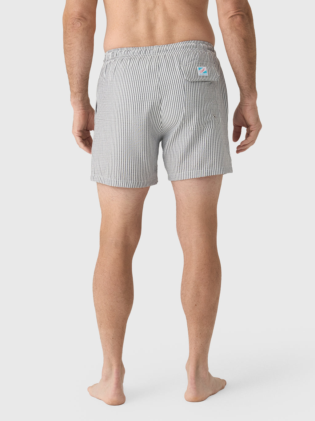 Bermies Men's Navy Swim Trunk - Saint Bernard