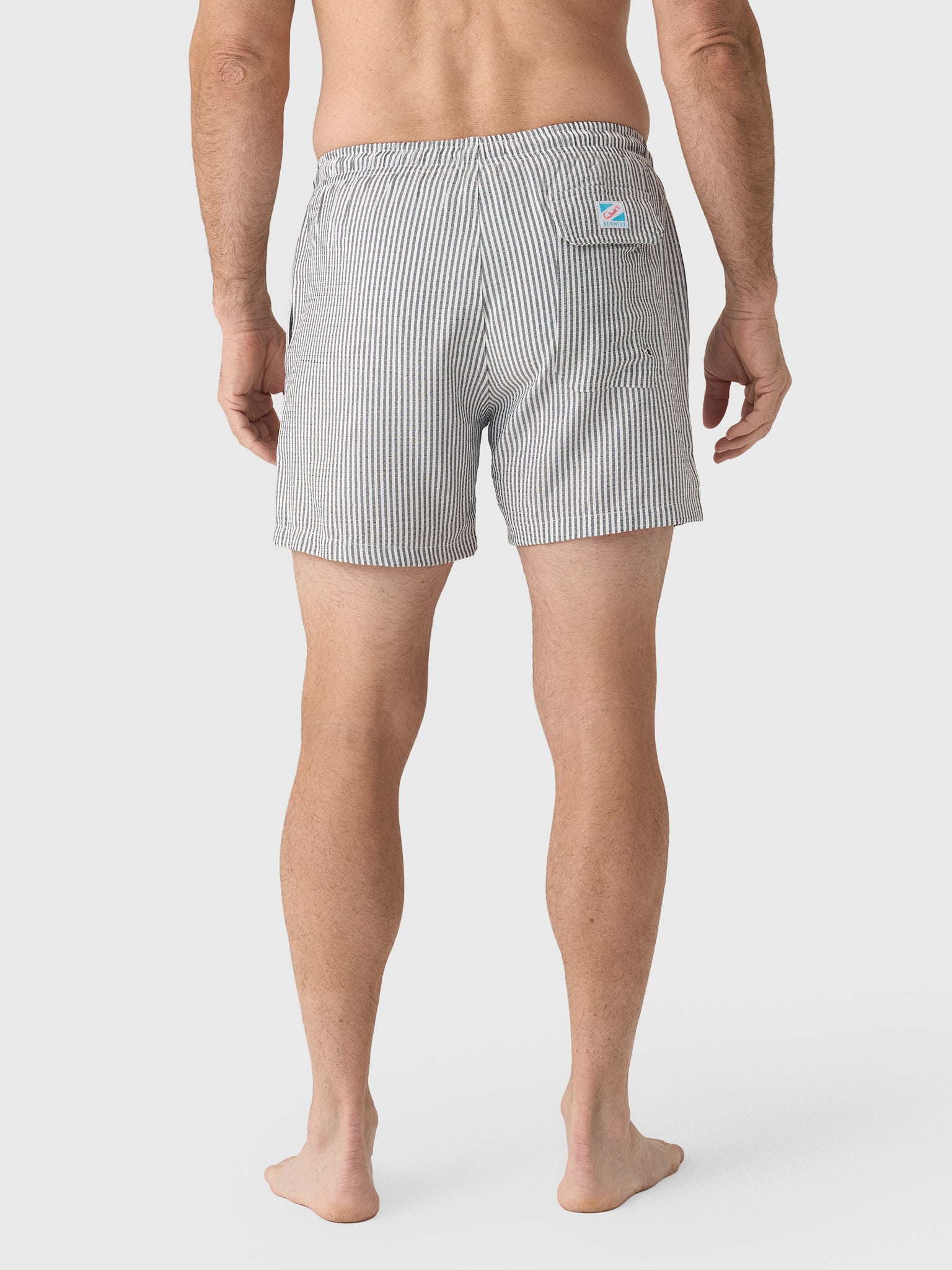Bermies Men's Navy Swim Trunk - Saint Bernard
