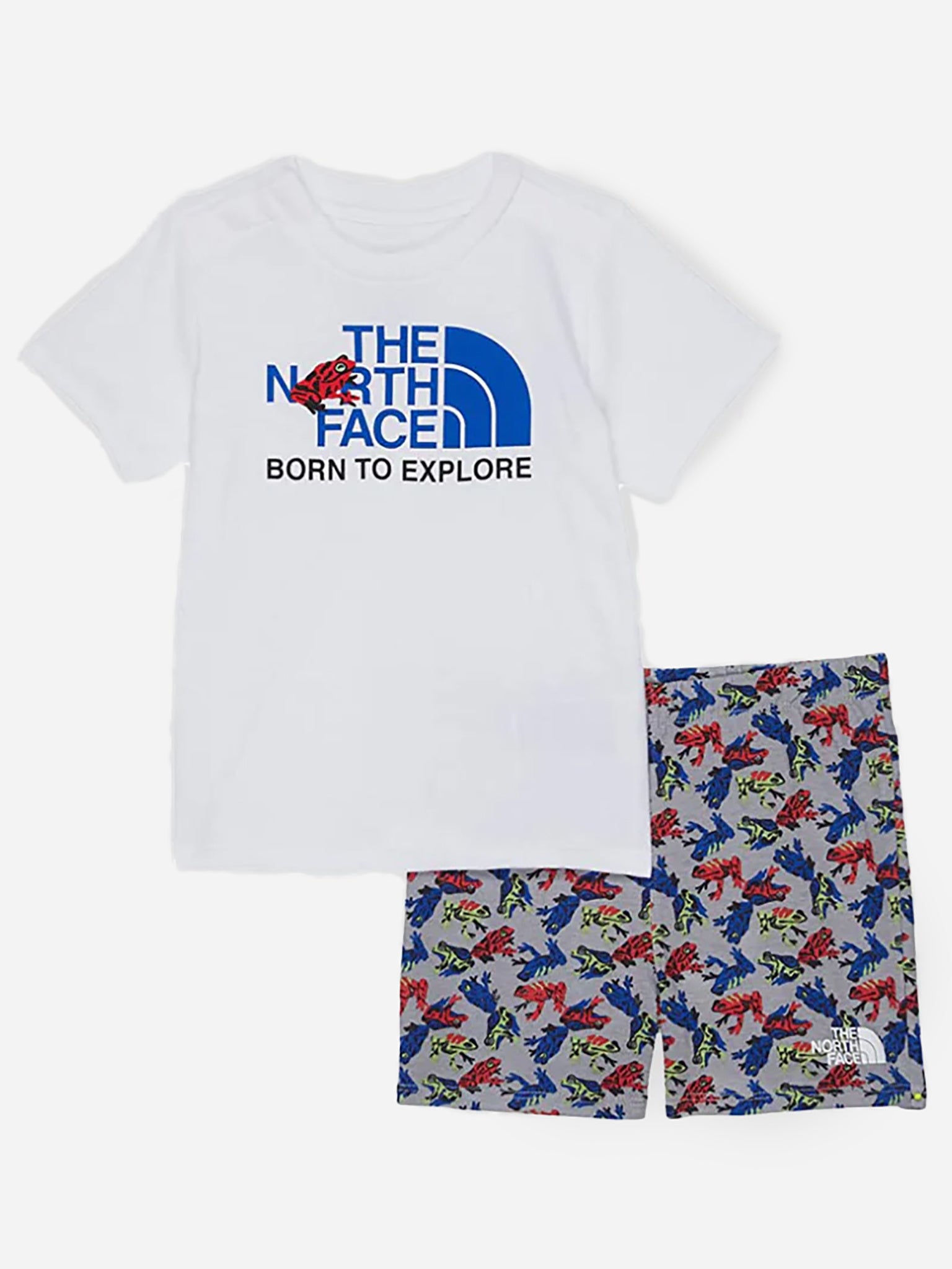 The. North Face Little Kids' Cotton Summer Set - Saint Bernard