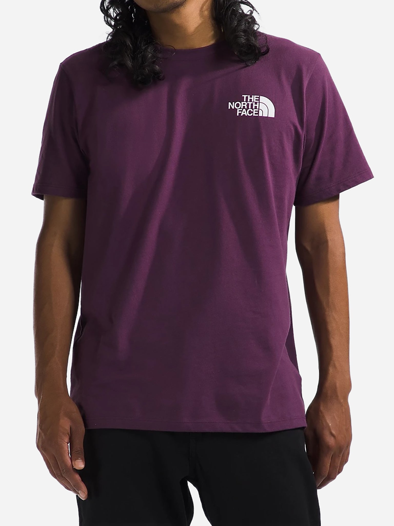 The North Face Men's Short Sleeve Box NSE Tee - Saint Bernard