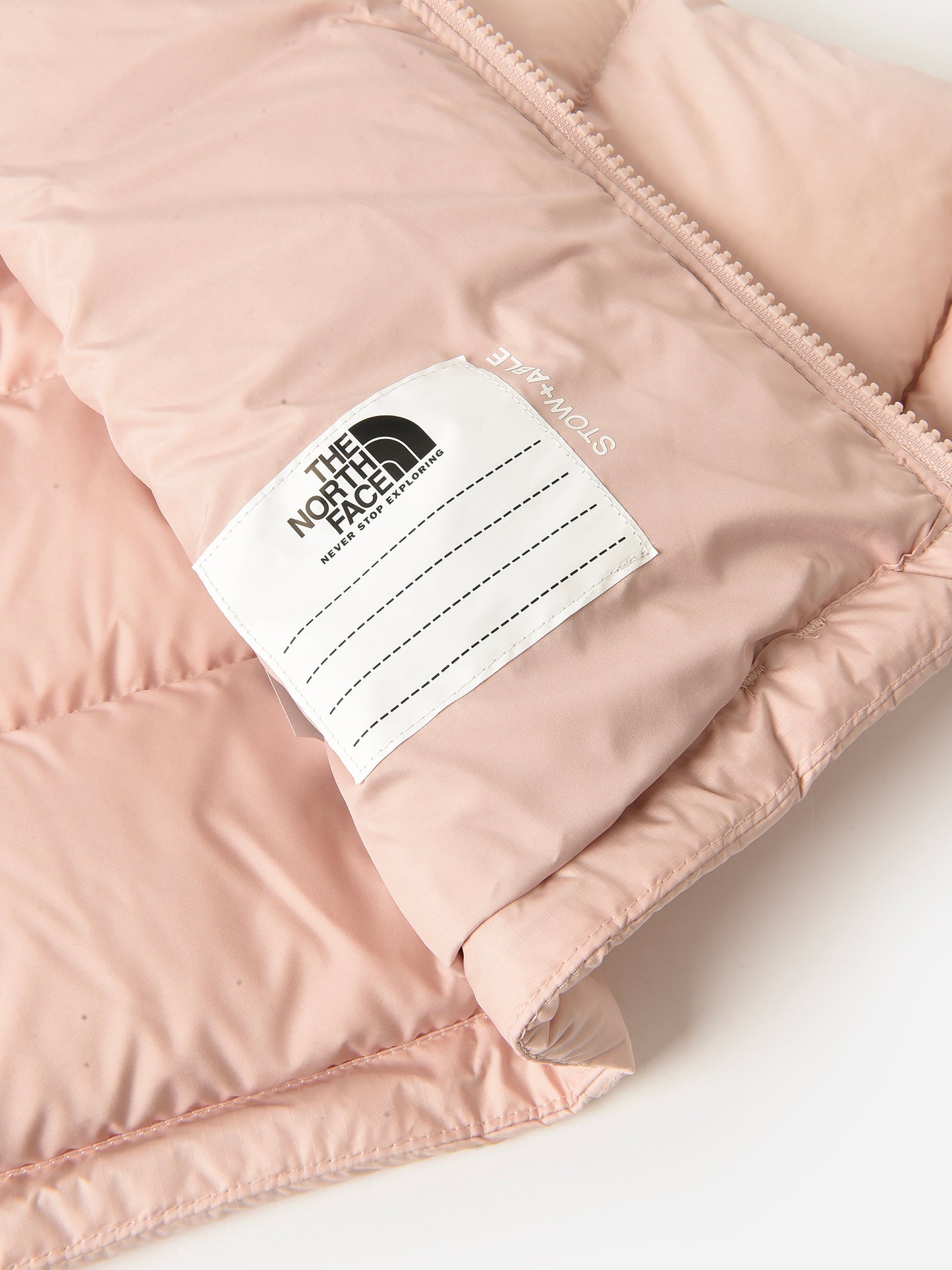 NF0A82UDxPINKMOSS-alt2