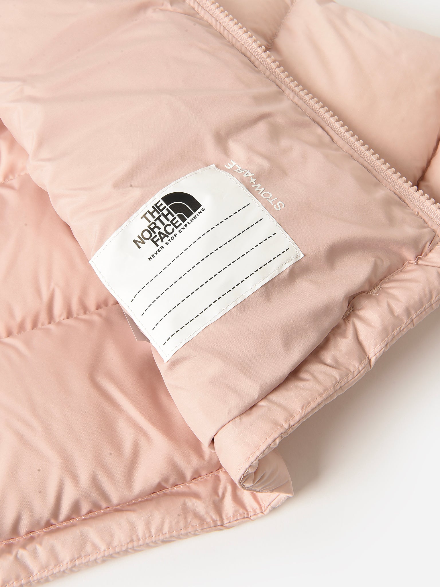 NF0A82UDxPINKMOSS-alt2