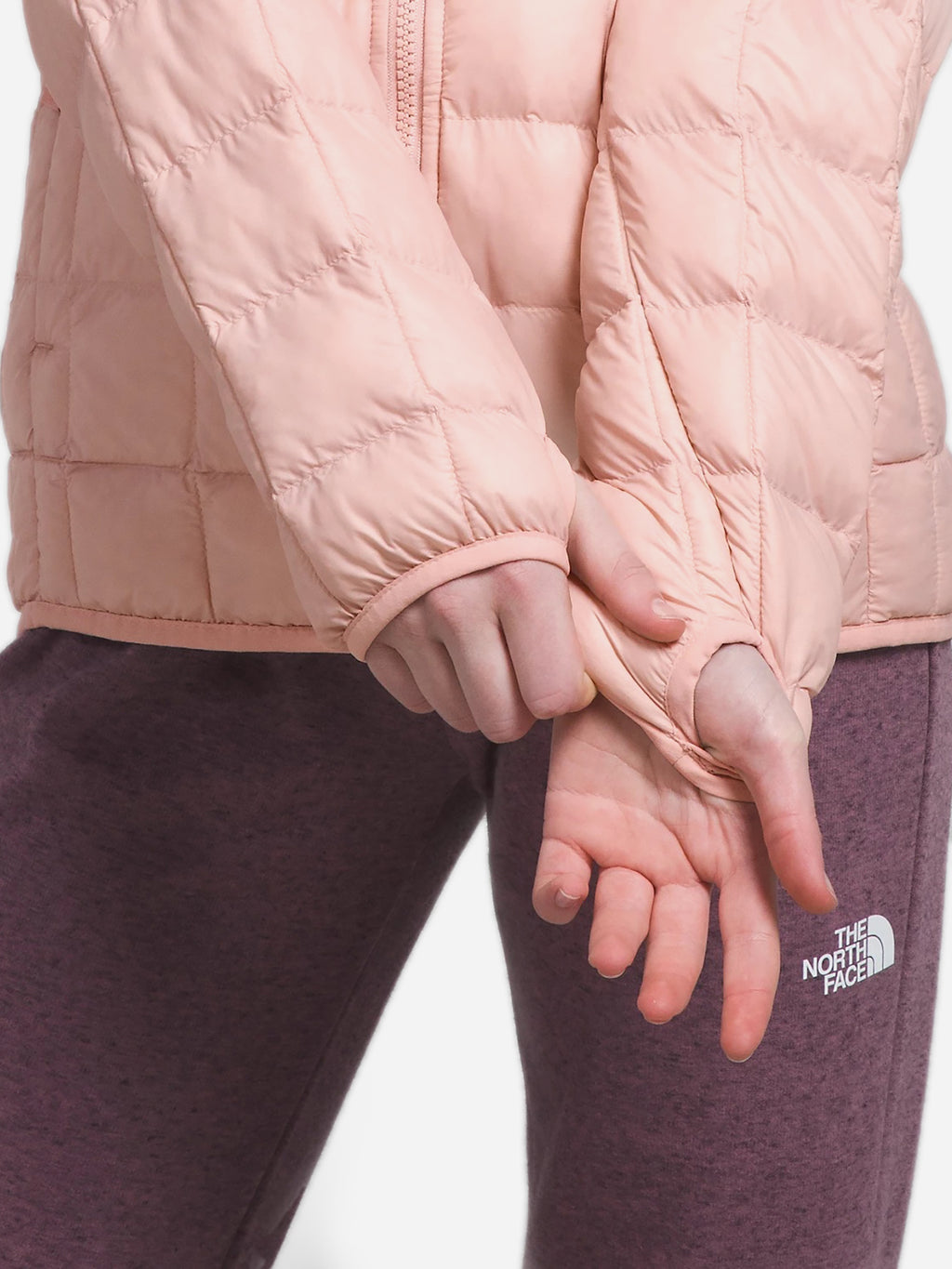 NF0A84LPxPINKMOSS-alt1