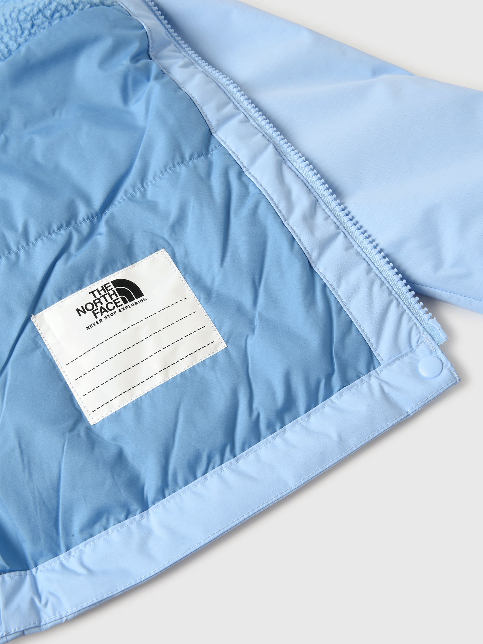 NF0A873RxCORNFLOWER-alt4