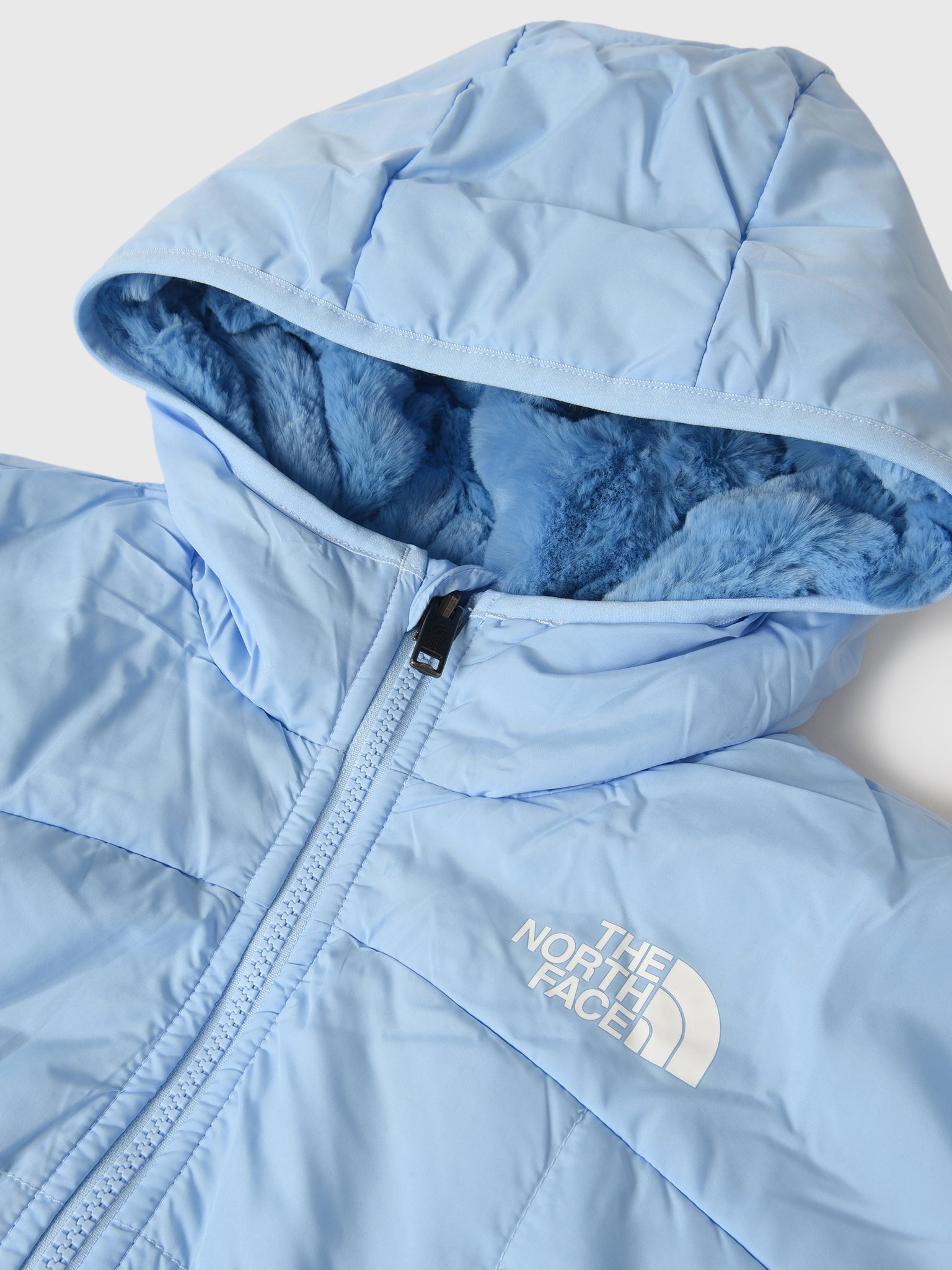 NF0A88UBxCORNFLOWER-alt1