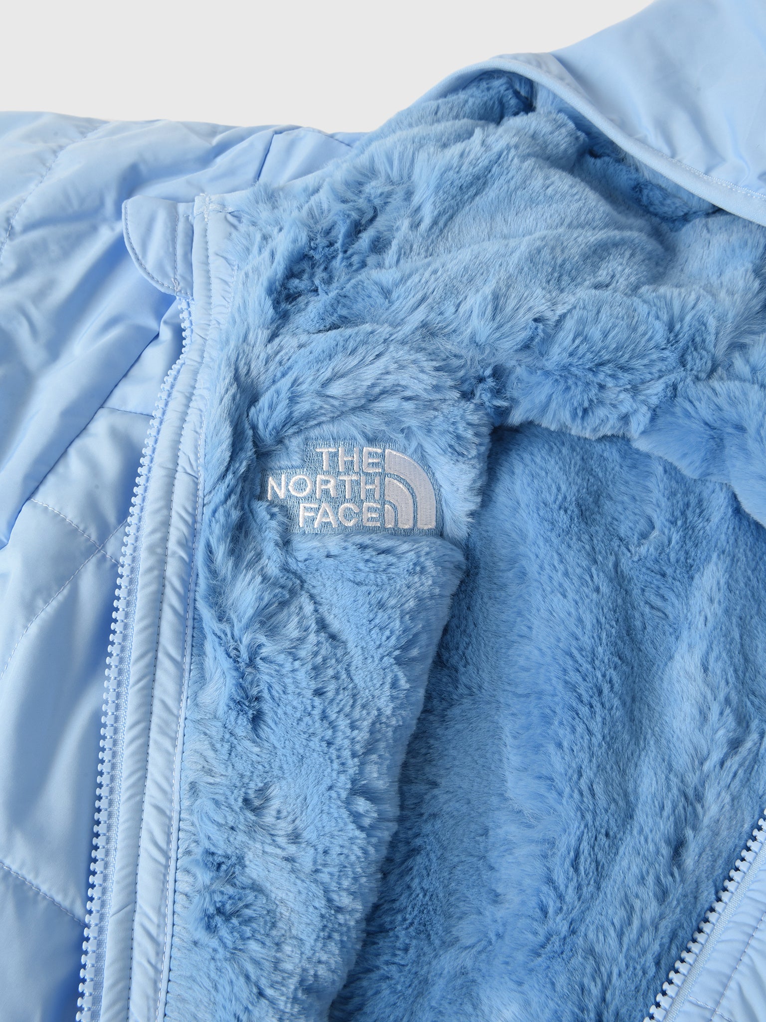 NF0A88UBxCORNFLOWER-alt3