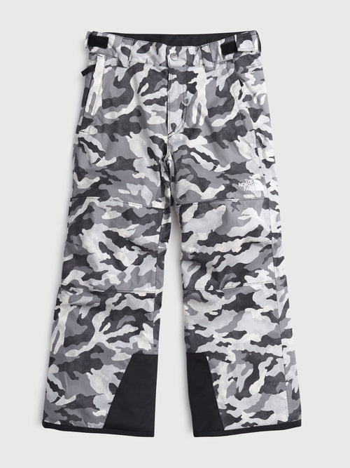 The North Face Boys' Freedom Insulated Pant