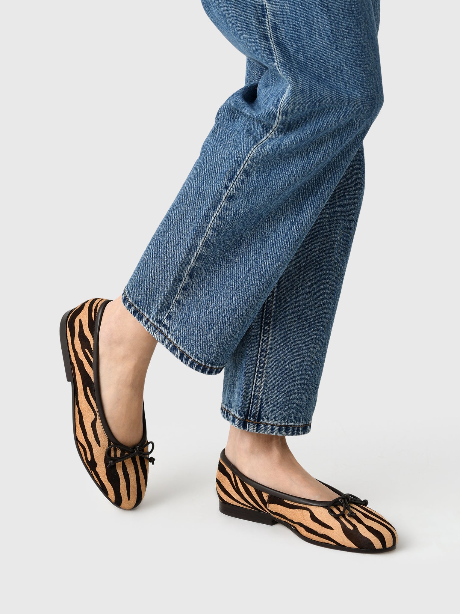 NOELLE-HC-ZEBRAxZEBRA-alt1