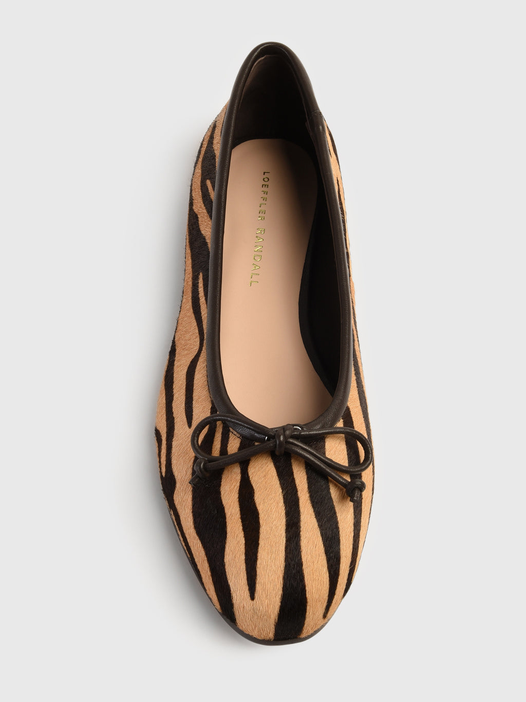NOELLE-HC-ZEBRAxZEBRA-alt2