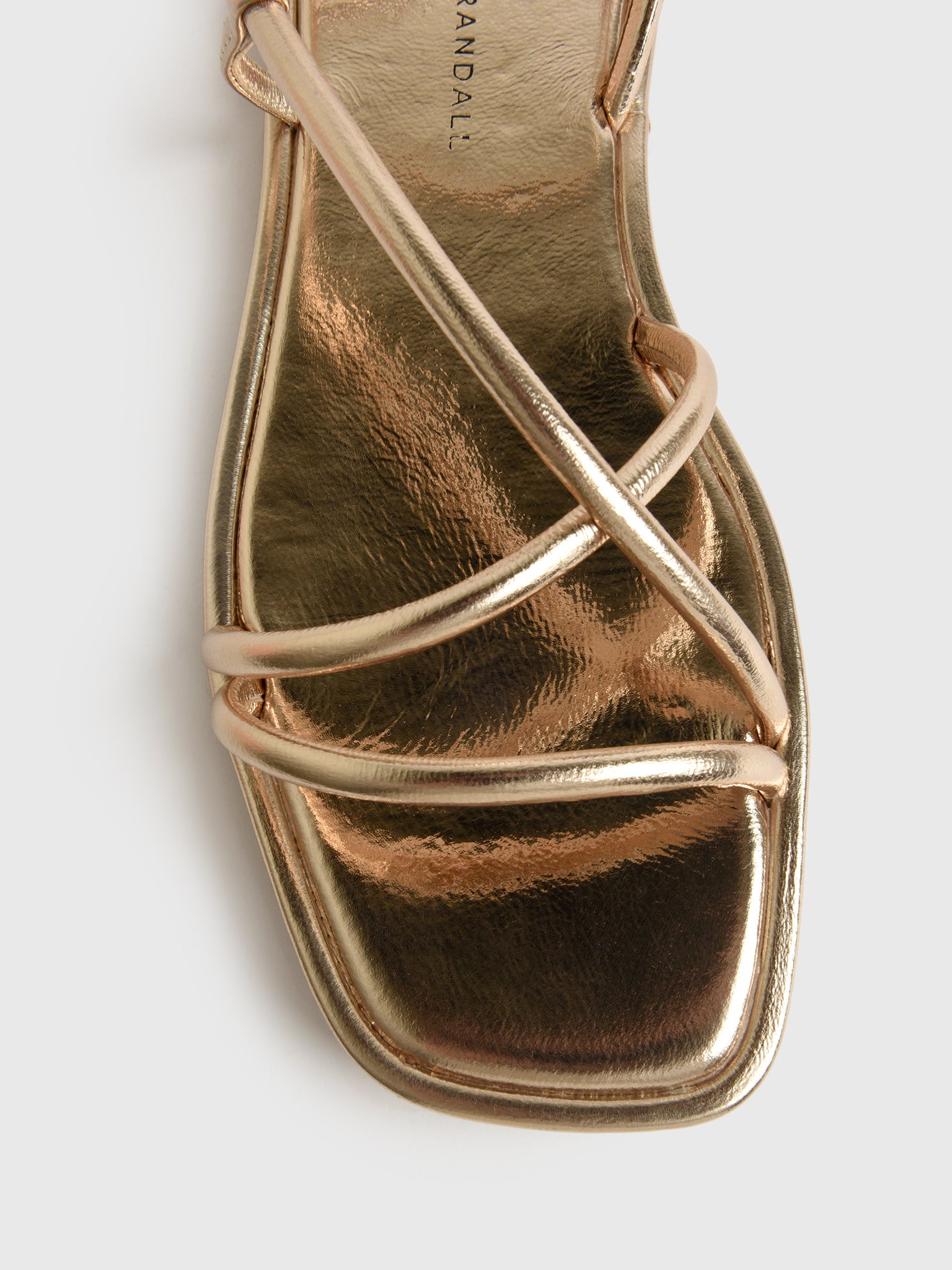 NOOR-N-CHMPNxCHAMPAGNE-alt2