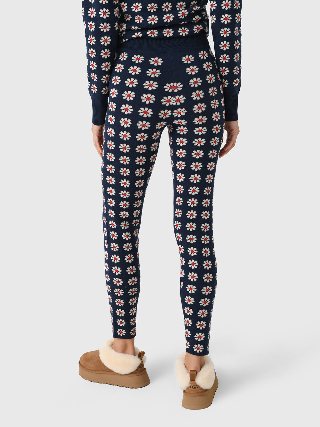 OKB0005777xFROSTEDDAISY-alt2