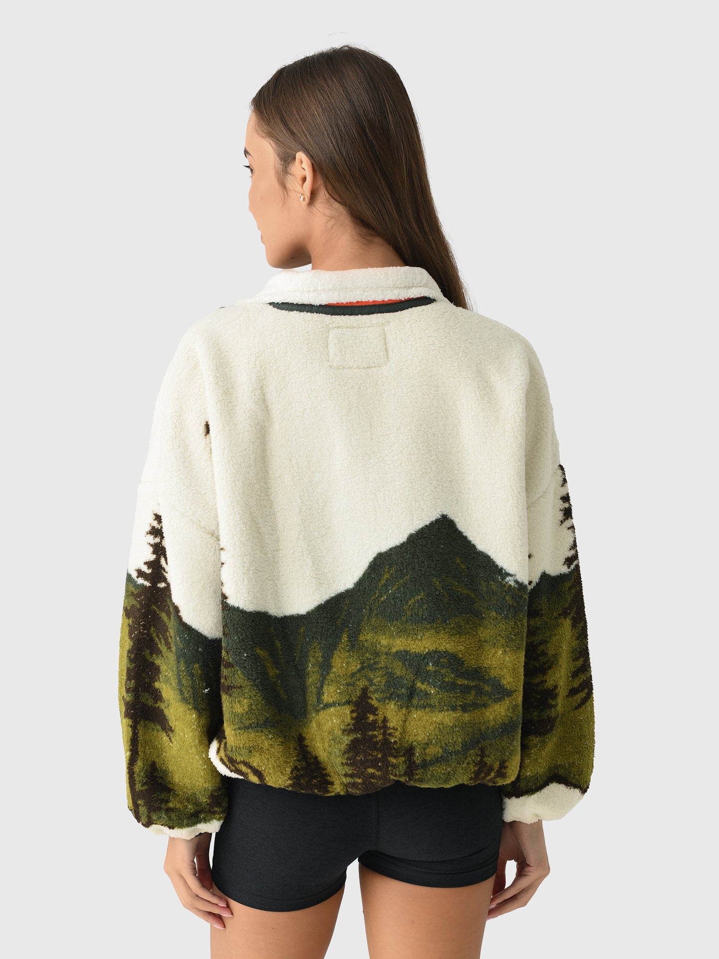 OKJ002B970xMOUNTAINVIEWLANDSCAPE-alt2