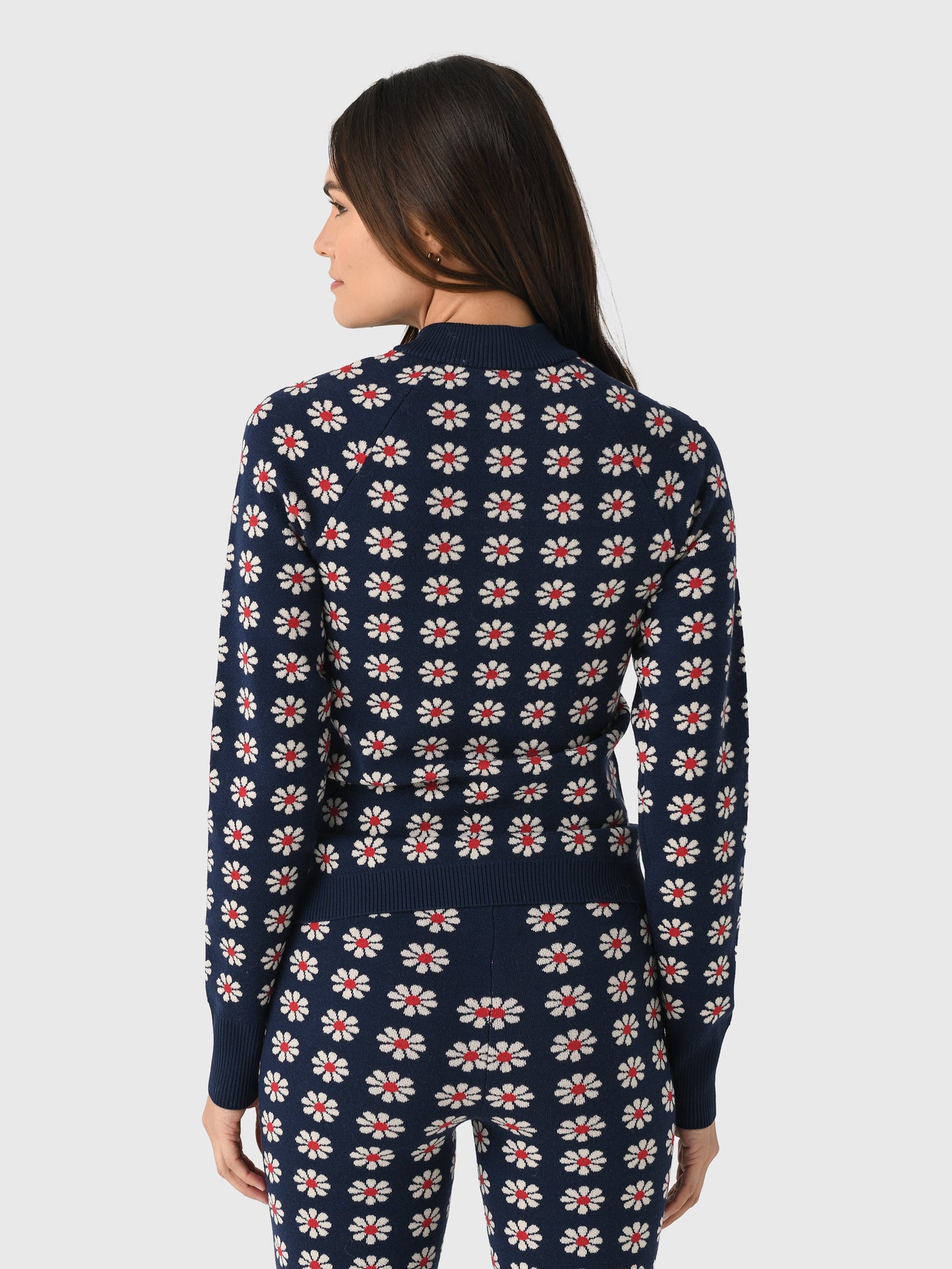 OKT0006777xFROSTEDDAISY-alt2