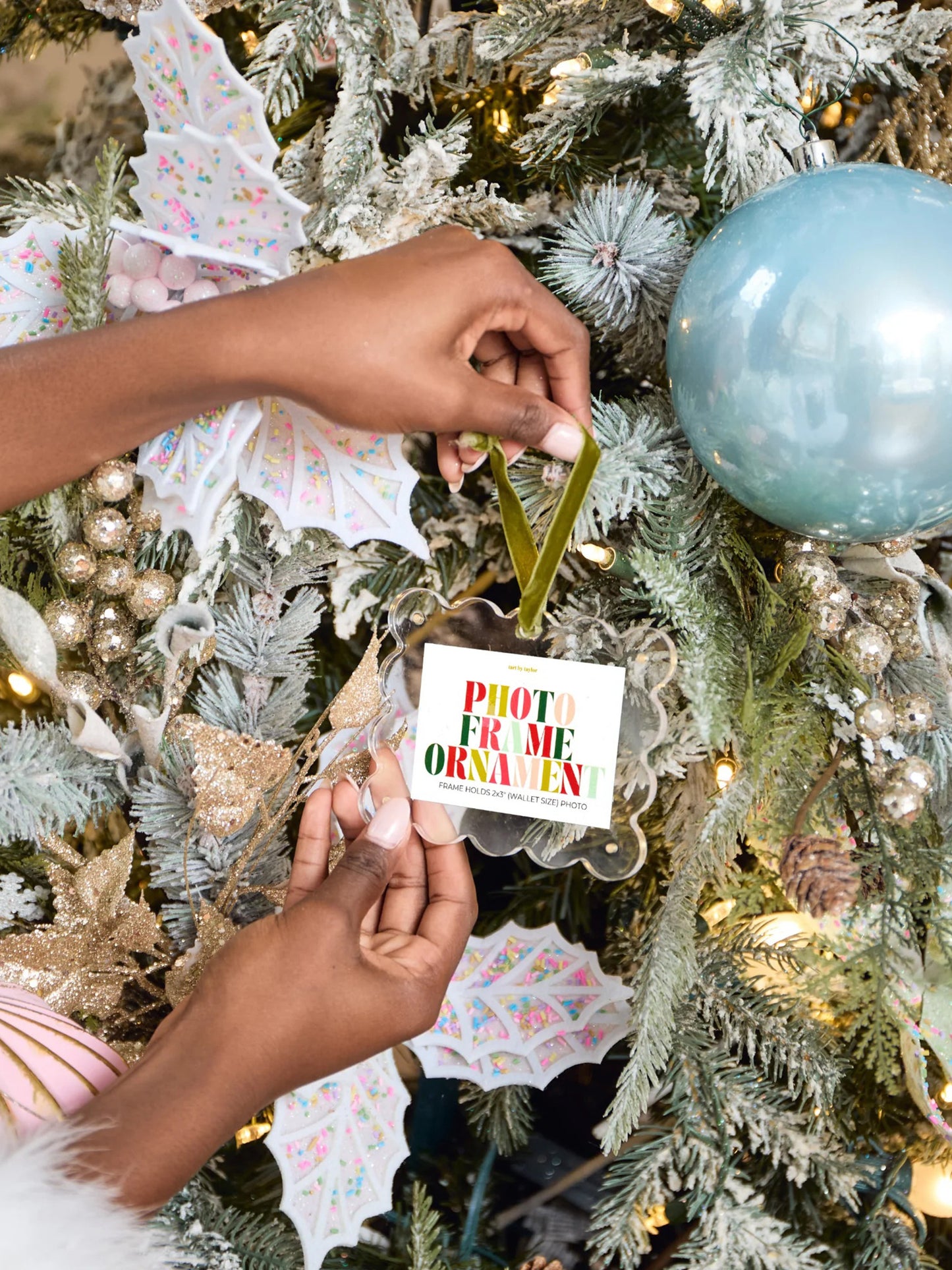 ORN-CLEARxCLEAR-alt1