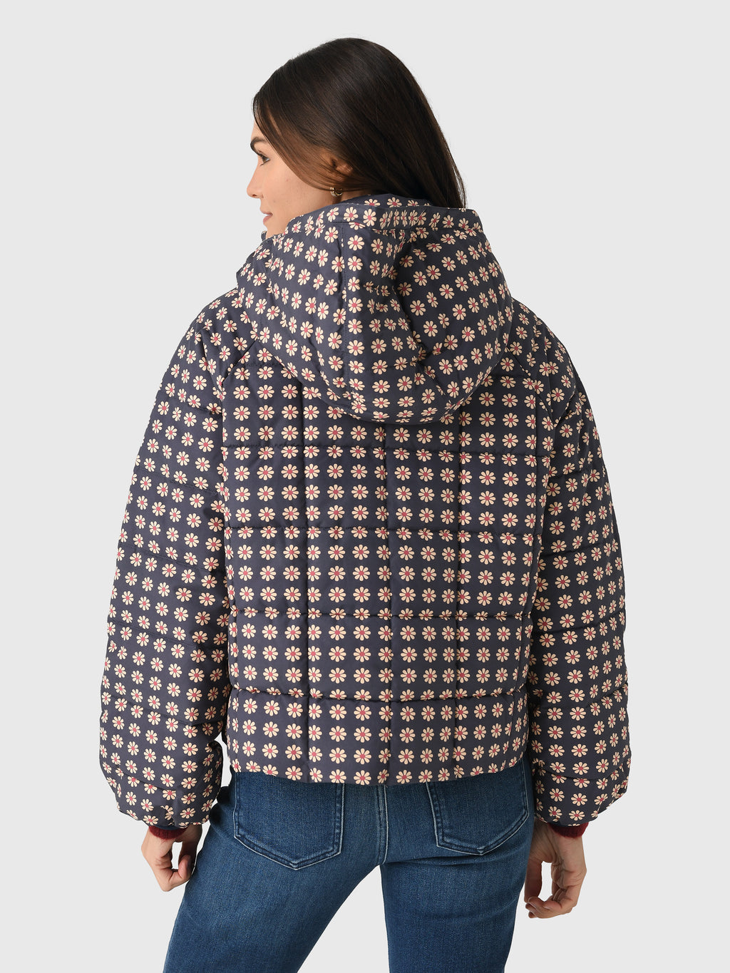 OWJ0028972xMINIFROSTEDDAISY-alt2