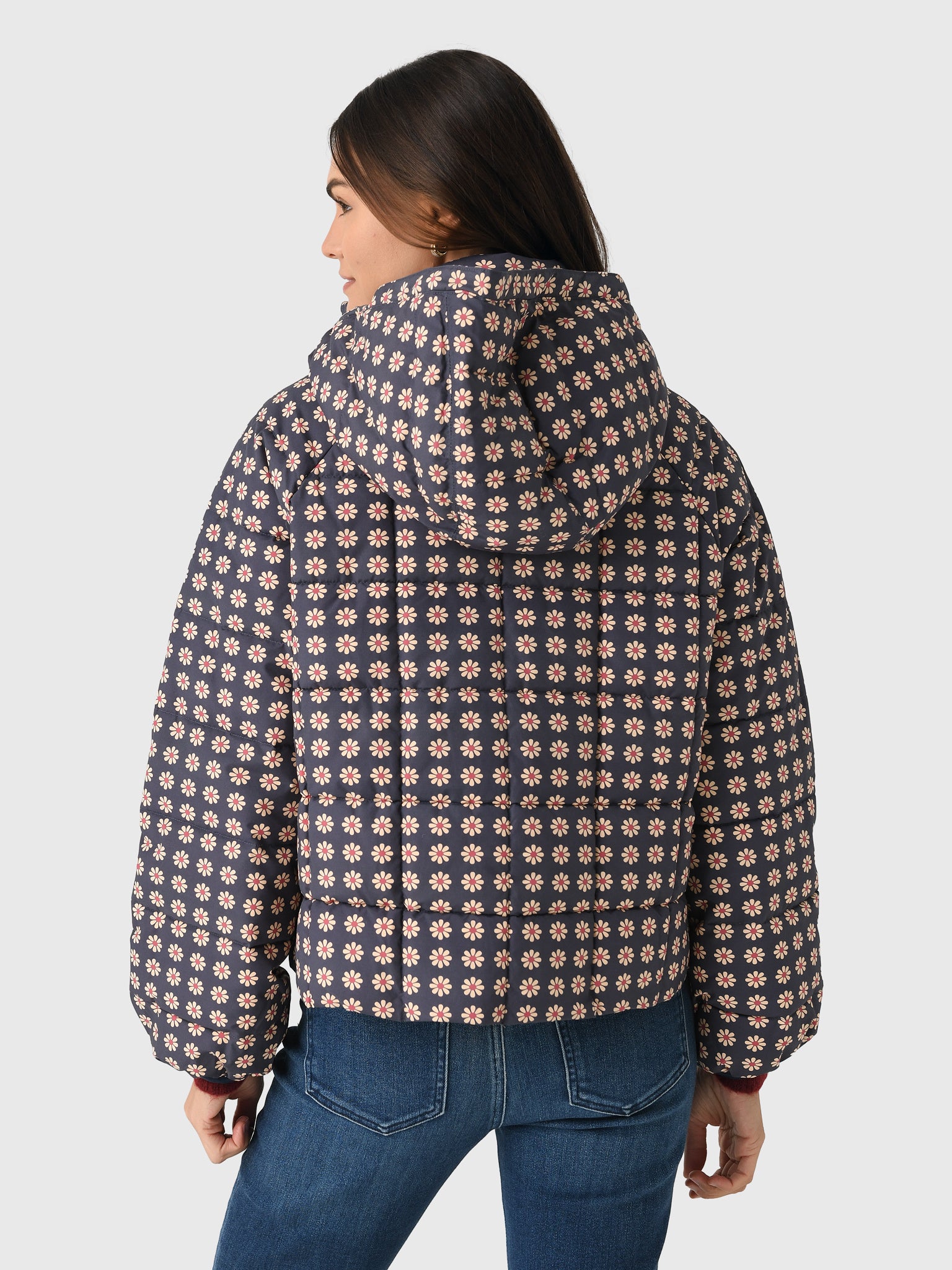 OWJ0028972xMINIFROSTEDDAISY-alt2