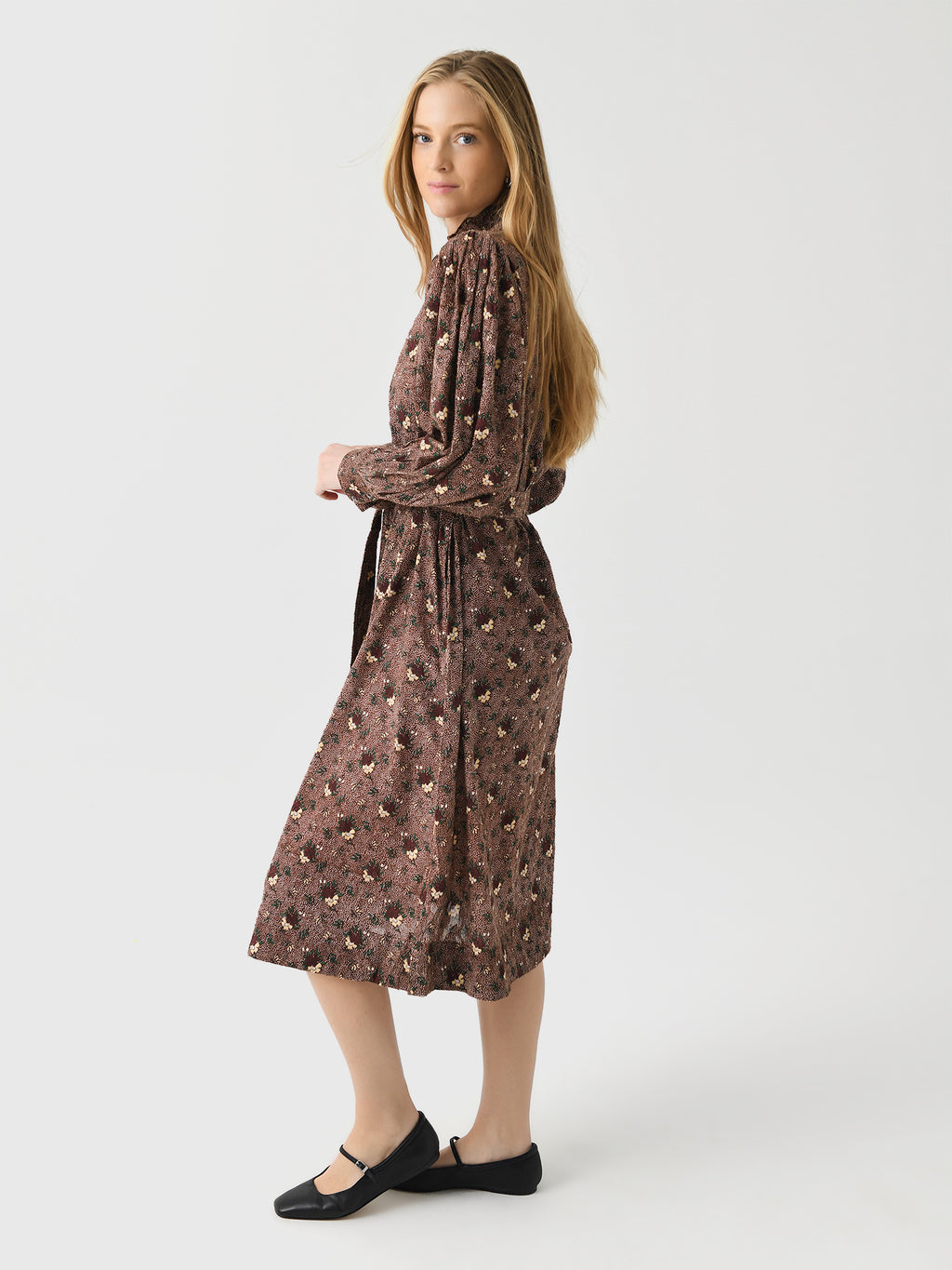 PADDY1DRExBROWN-alt1