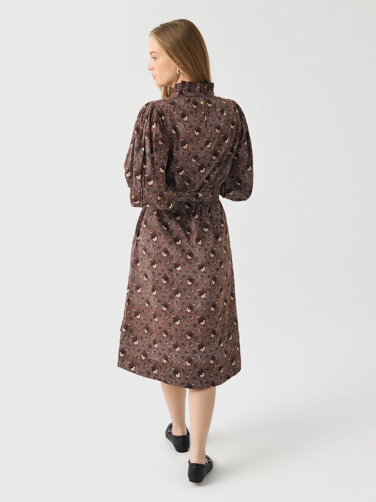 PADDY1DRExBROWN-alt2