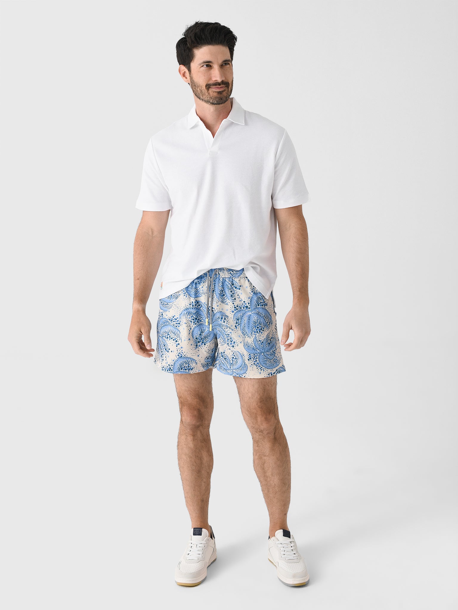 PALMFRONDSTRUNKxBLUE-alt1