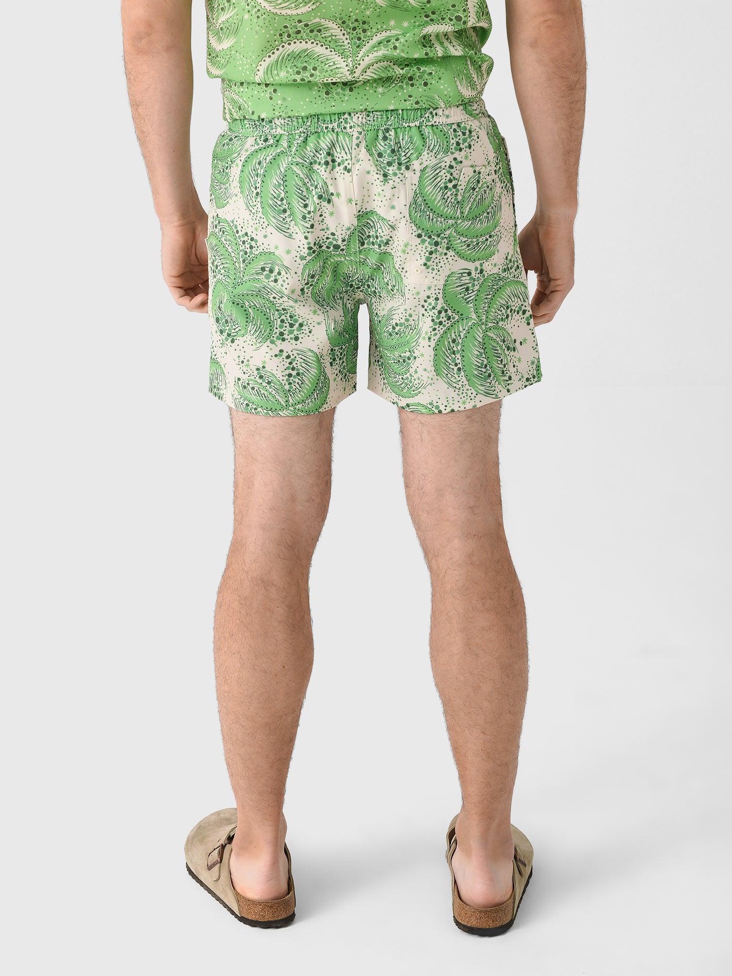 PALMFRONDSTRUNKxGREEN-alt1