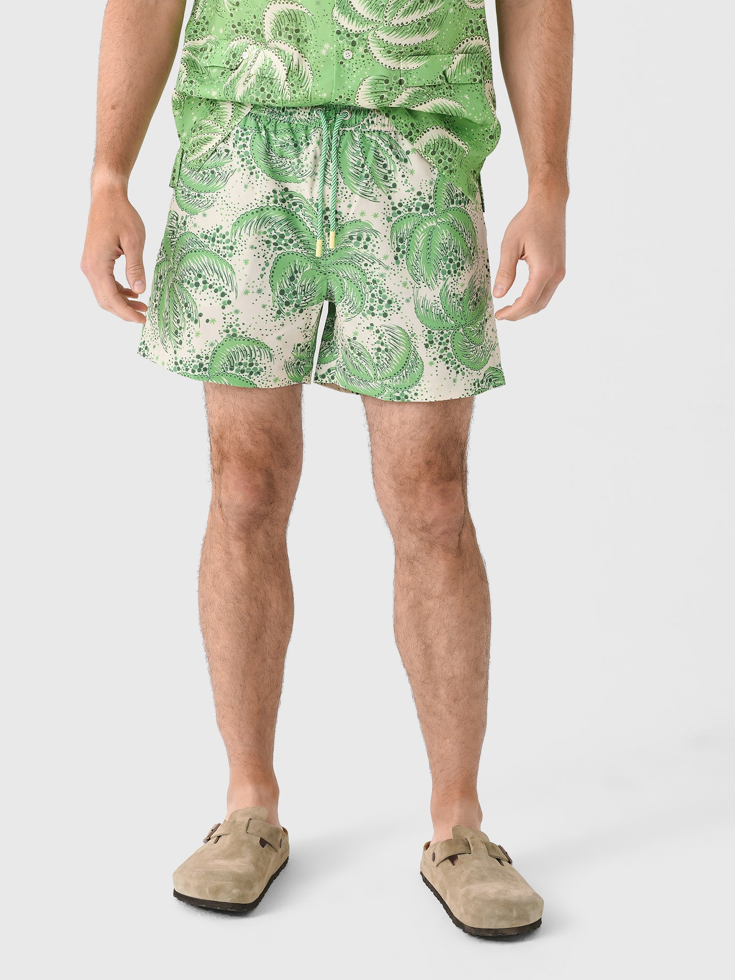 Tombolo Men's Palm Fronds Swim Trunk - Saint Bernard