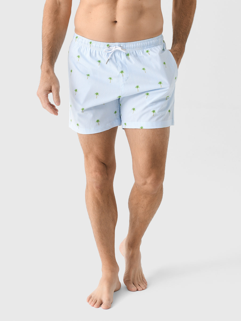 Bermies Men's Palm Stripes Swim Trunk - Saint Bernard
