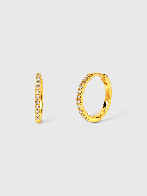 TAI Cubic Zirconia Huggie Earrings - Saint Bernard