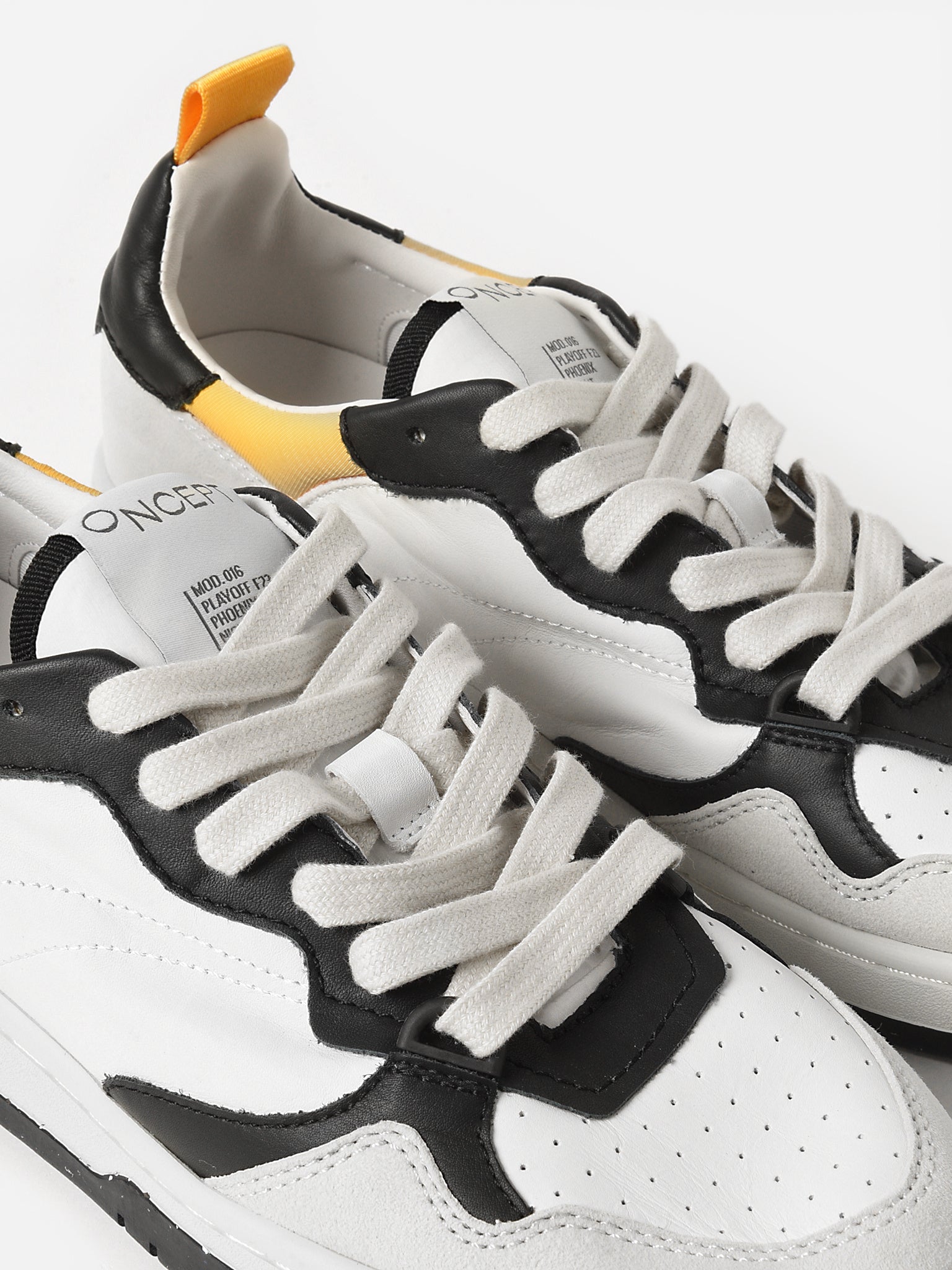 PHOENIXNIGHTxNIGHT-alt4