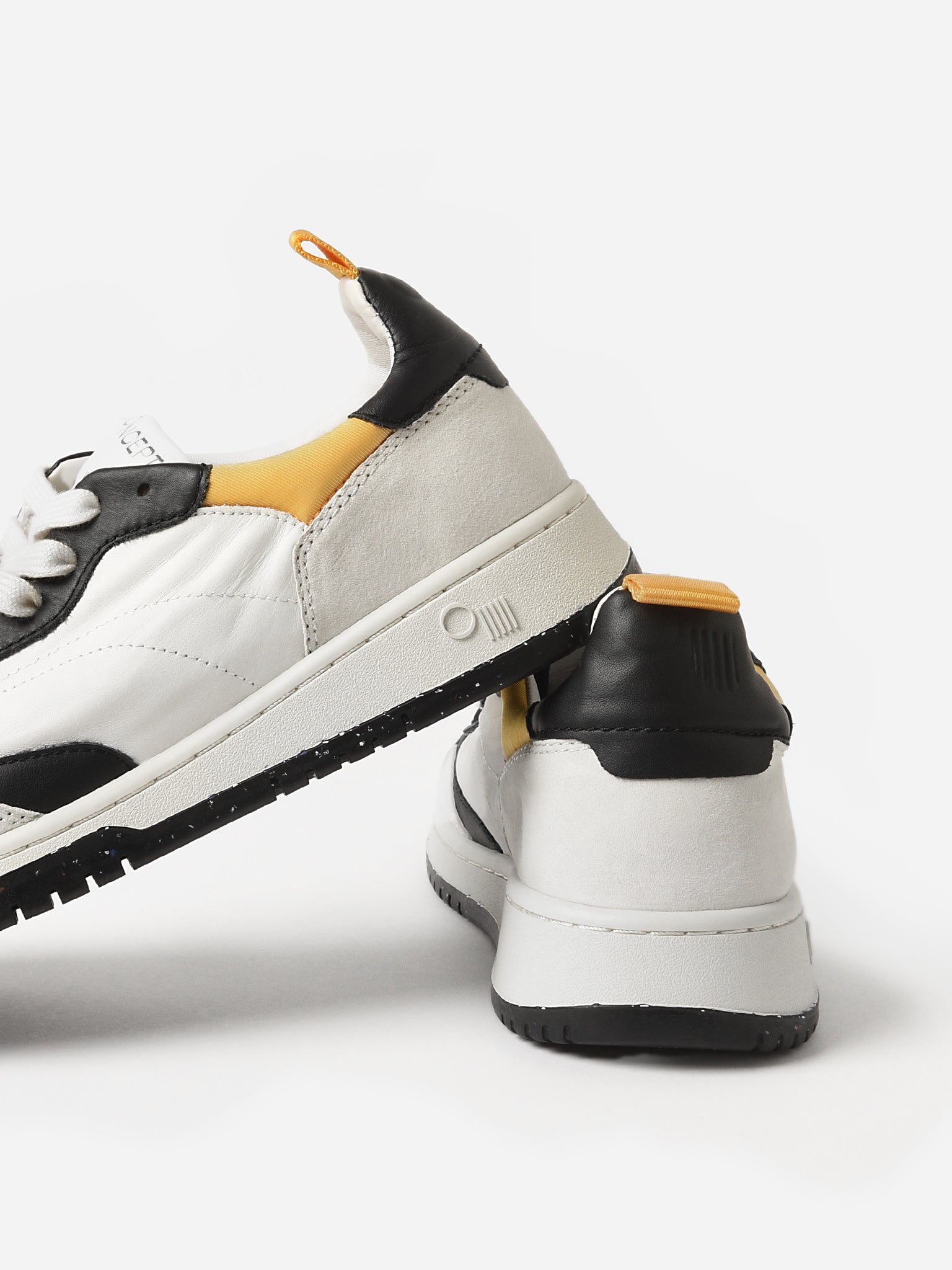 PHOENIXNIGHTxNIGHT-alt2