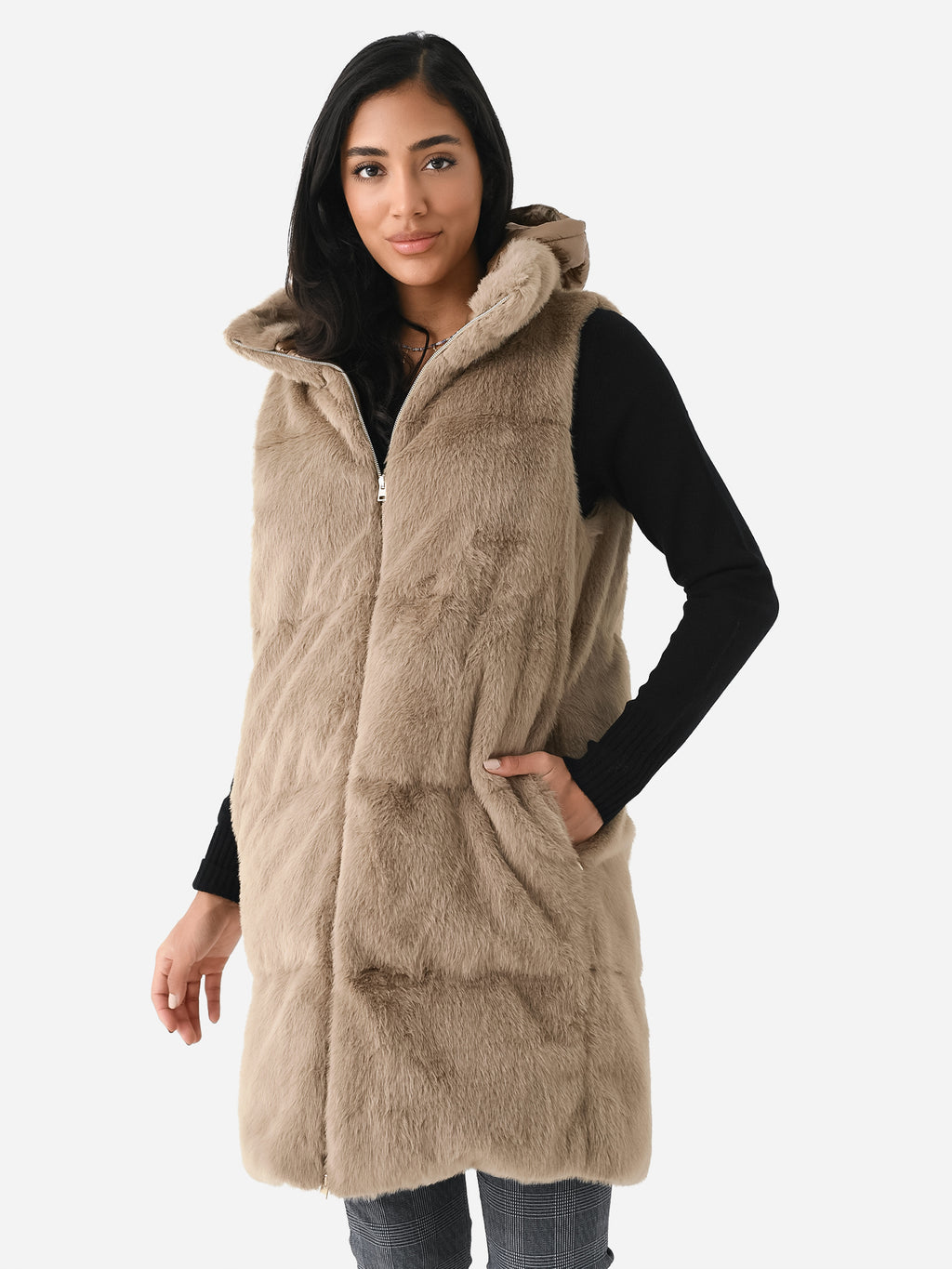 PI001729DxCAMEL-alt1