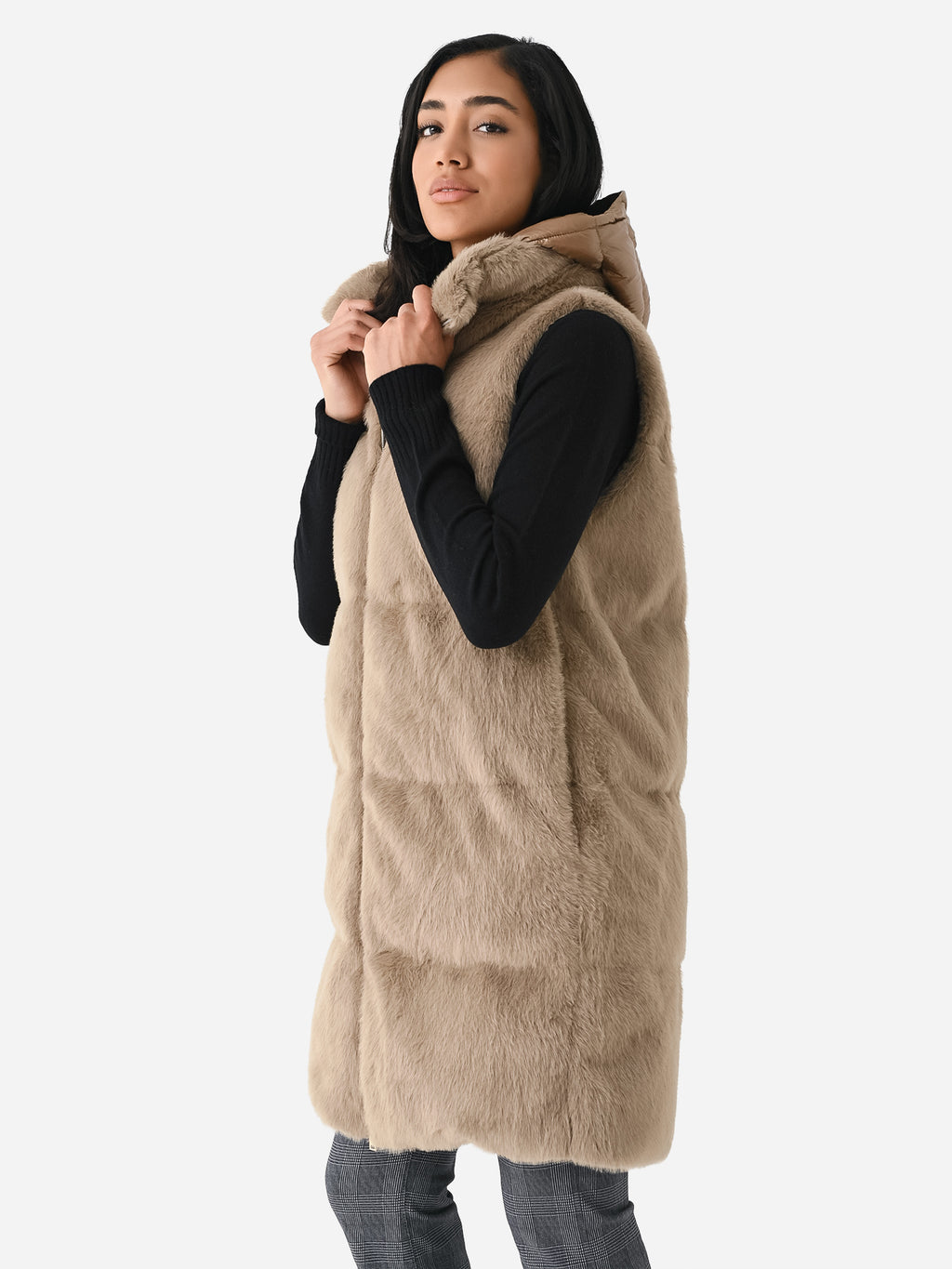 PI001729DxCAMEL-alt3