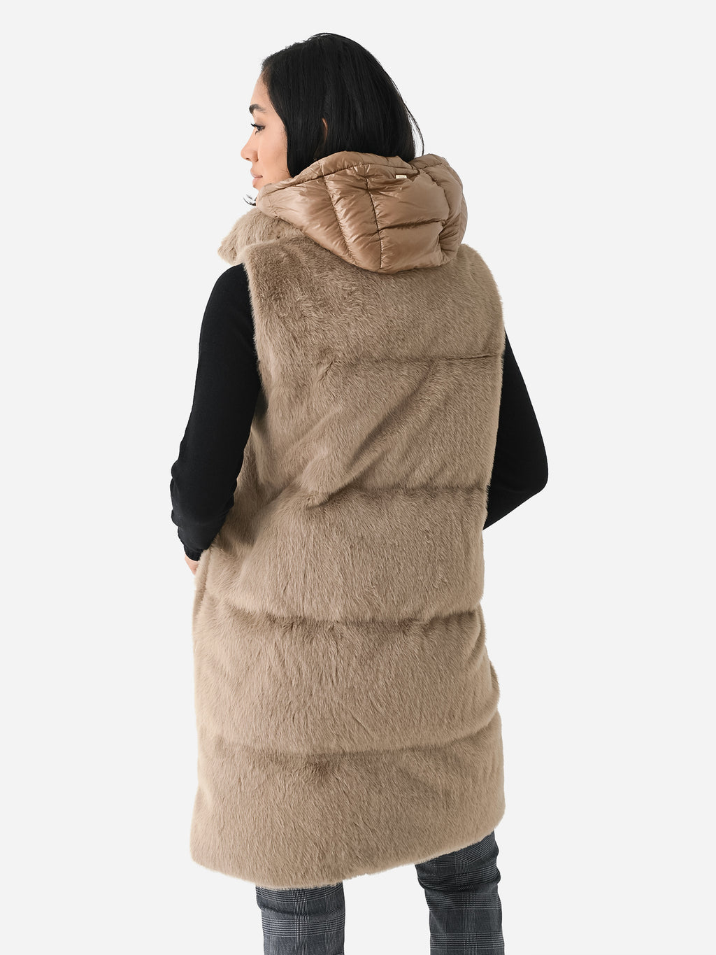 PI001729DxCAMEL-alt4