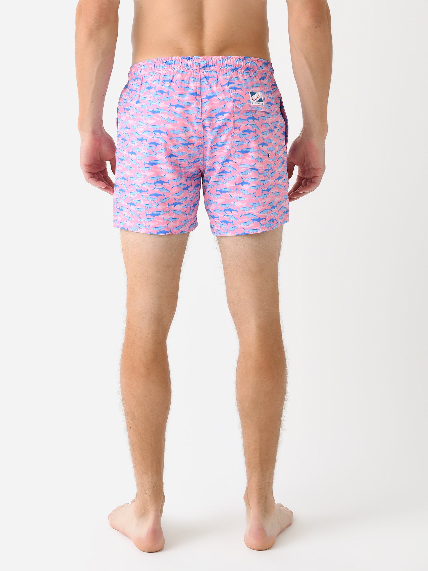 PINKSHARKS-CLAxPINKSHARKS-alt3