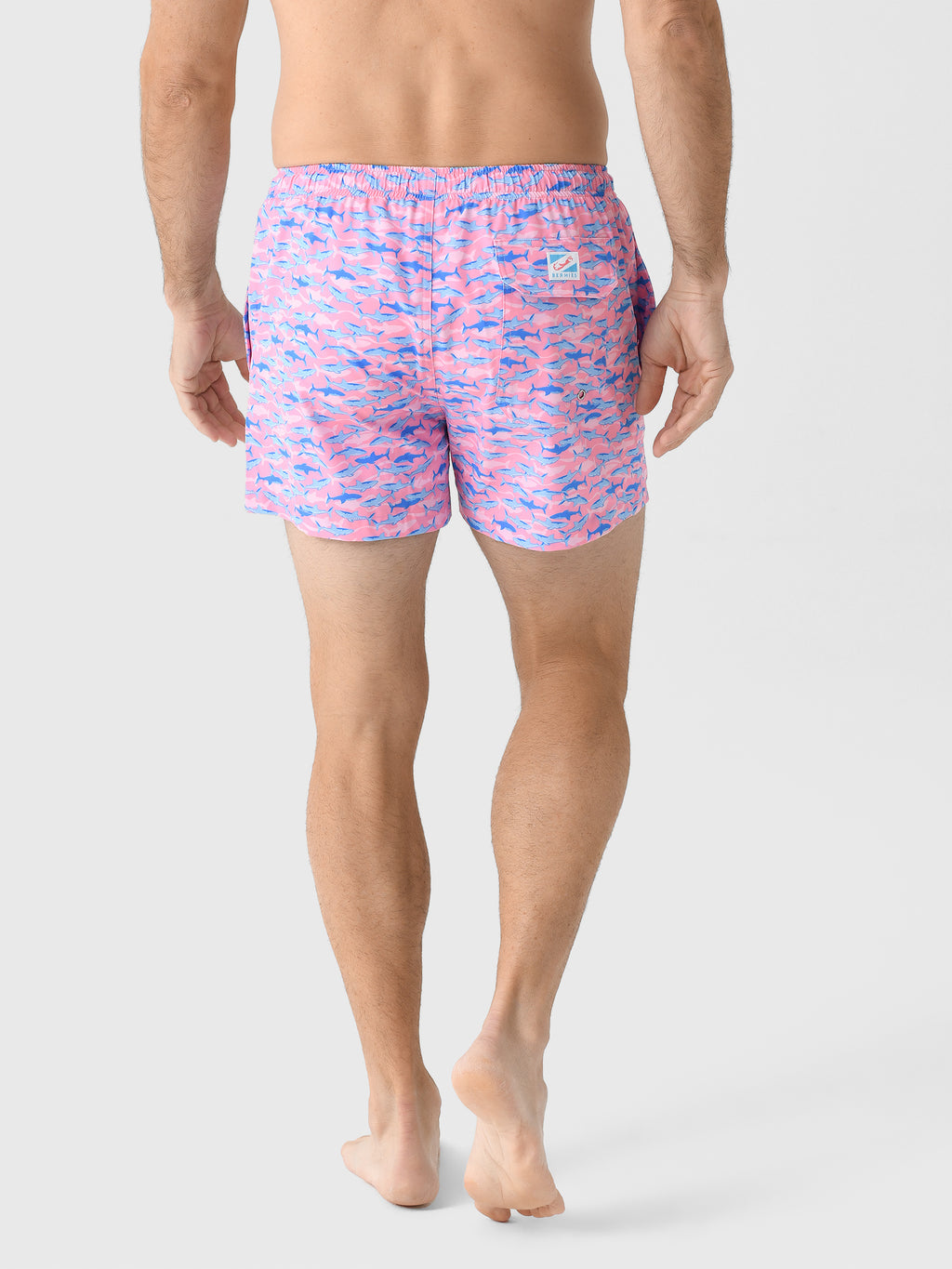 PINKSHARKS-SHOLxPINKSHARKS-alt3