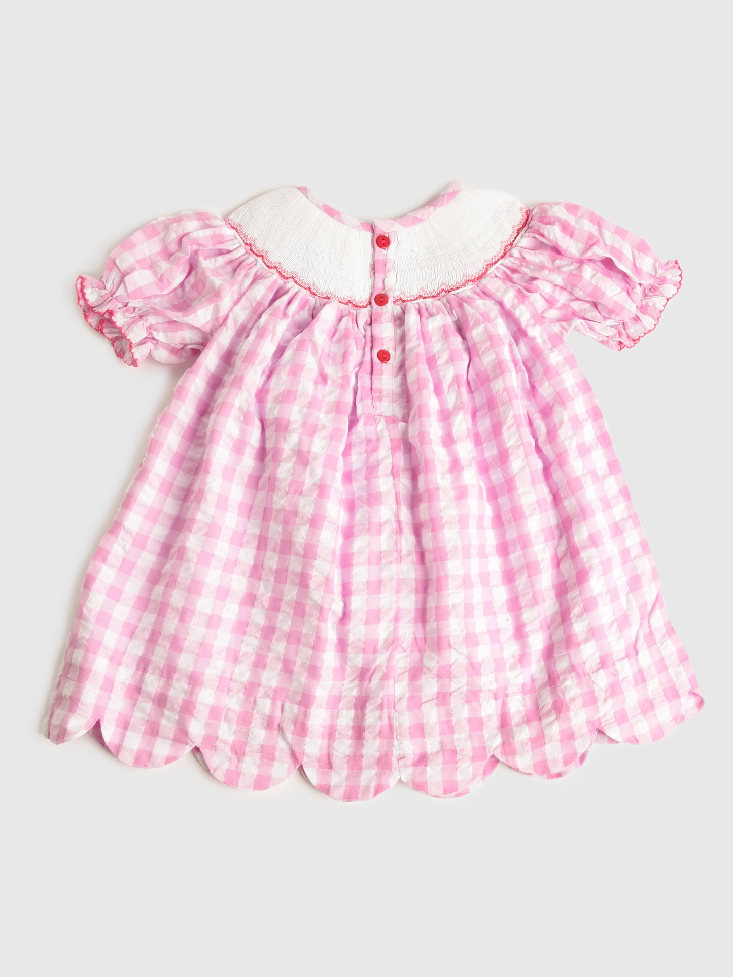 PINK APPLE DRESSxPINKGINGHAM-alt2