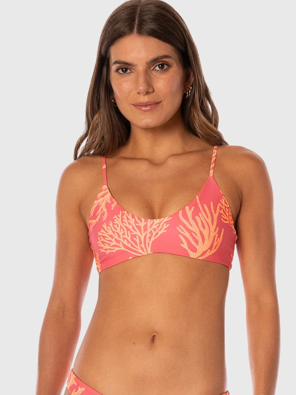 Maaji Women's Coral Reef Liberty Sporty Bralette Bikini Top - Saint Bernard