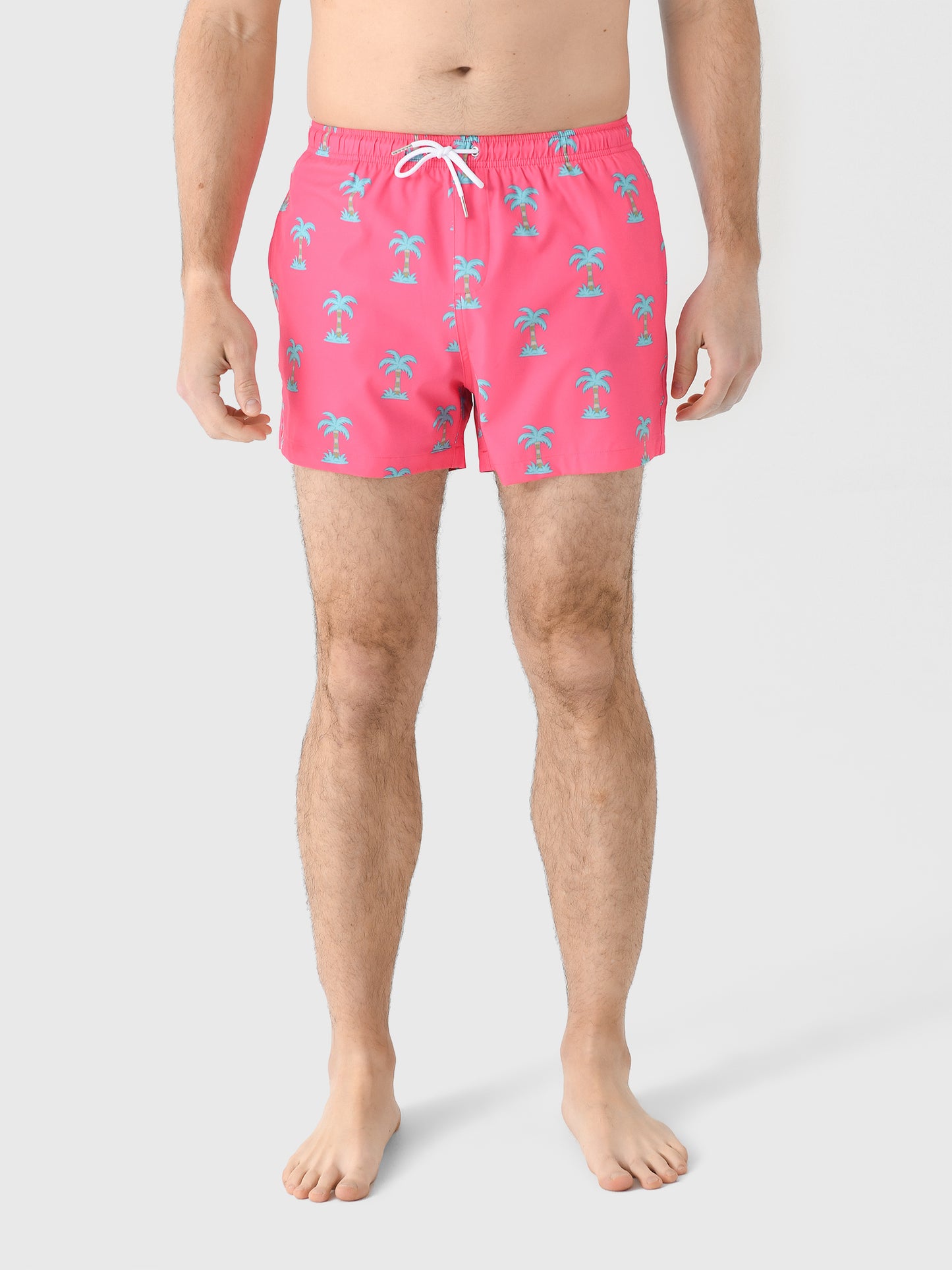 Bermies Men's Party Pants Swim Trunk - Saint Bernard