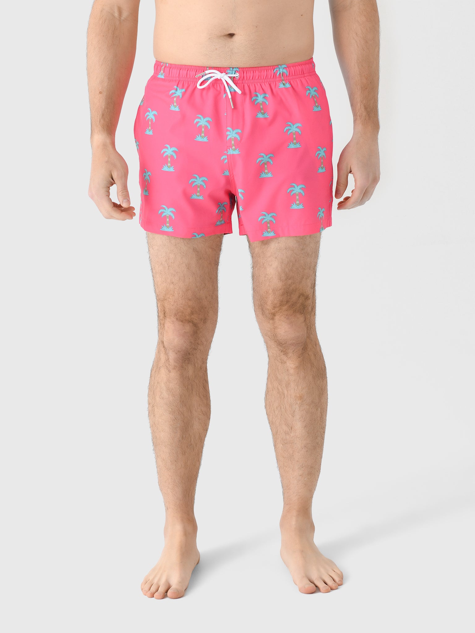 Bermies Men's Party Pants Swim Trunk - Saint Bernard