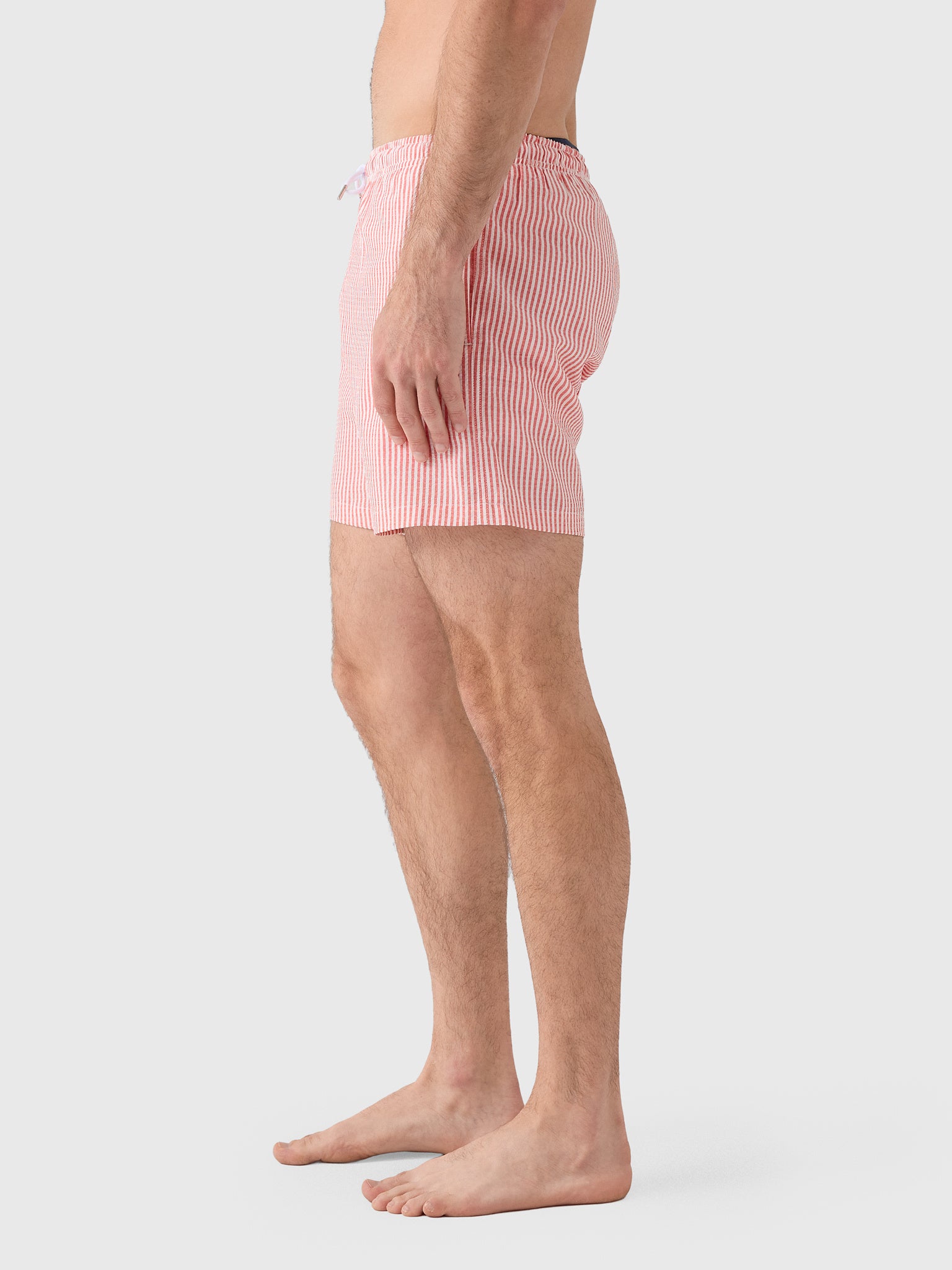 Bermies Men's Red Swim Trunk - Saint Bernard