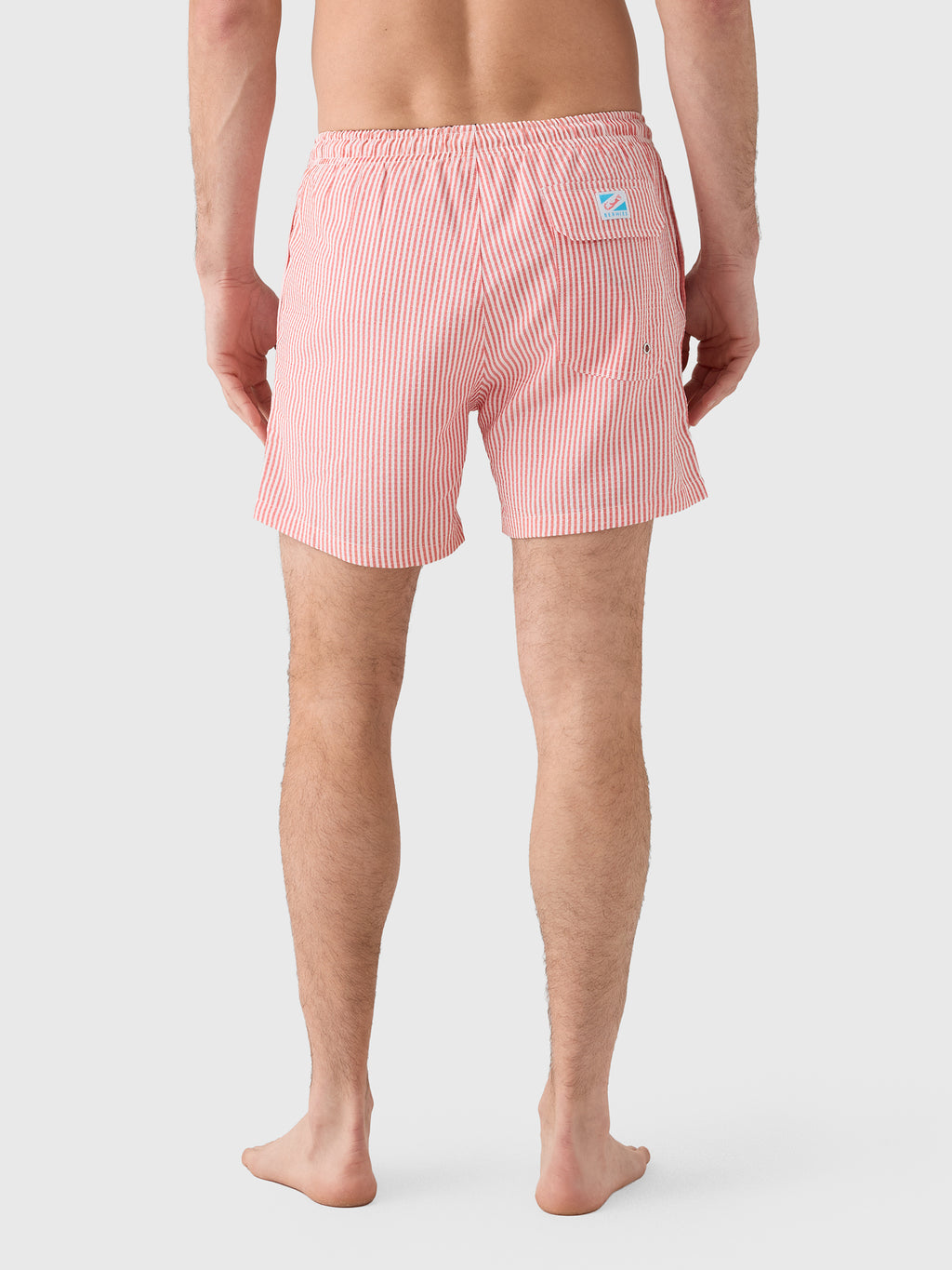 Bermies Men's Red Swim Trunk - Saint Bernard
