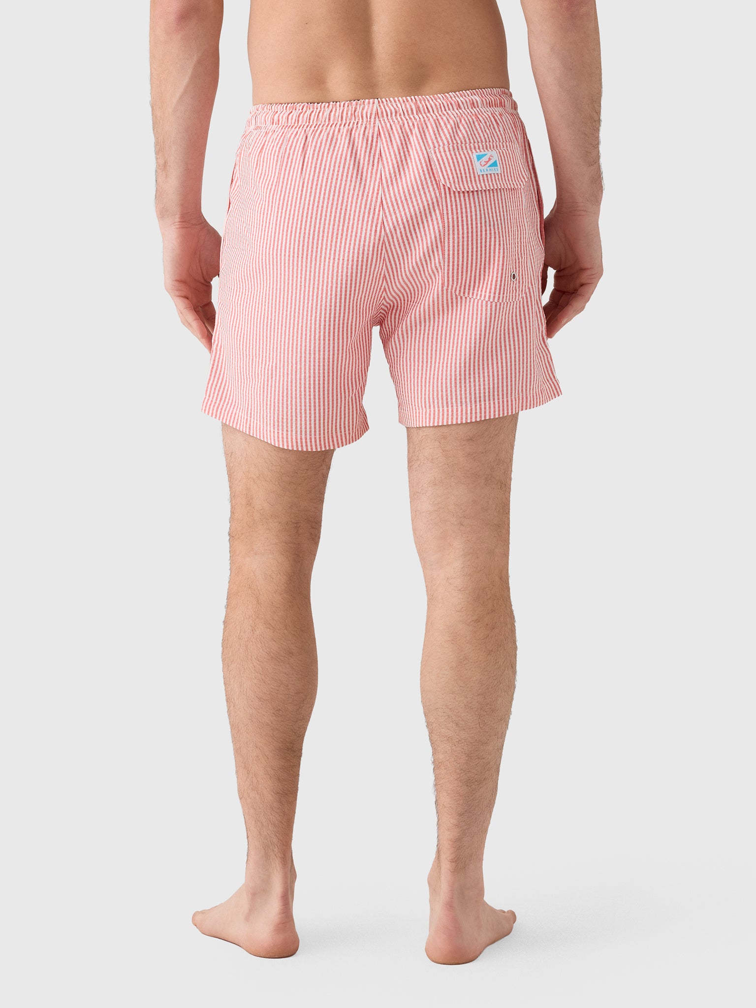 Bermies Men's Red Swim Trunk - Saint Bernard