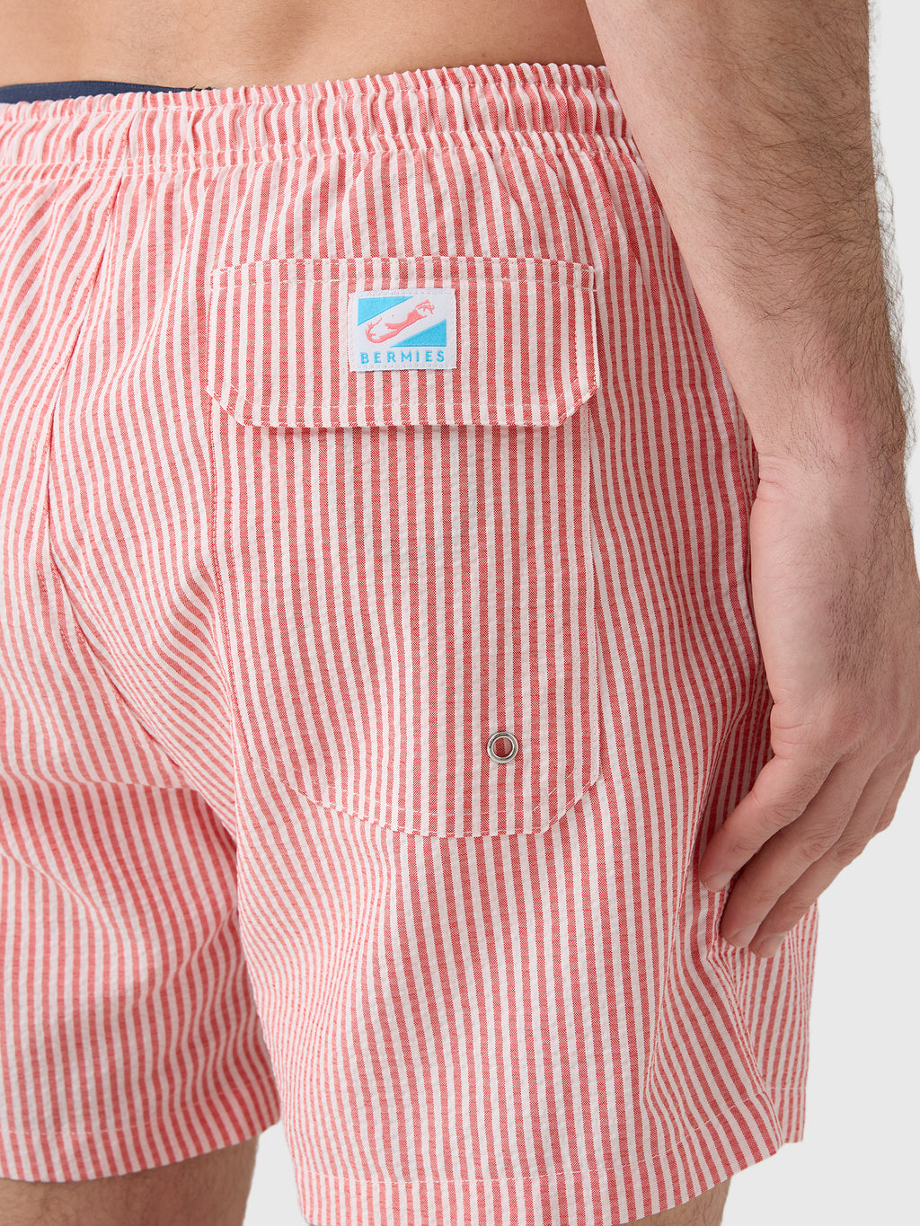 Bermies Men's Red Swim Trunk - Saint Bernard