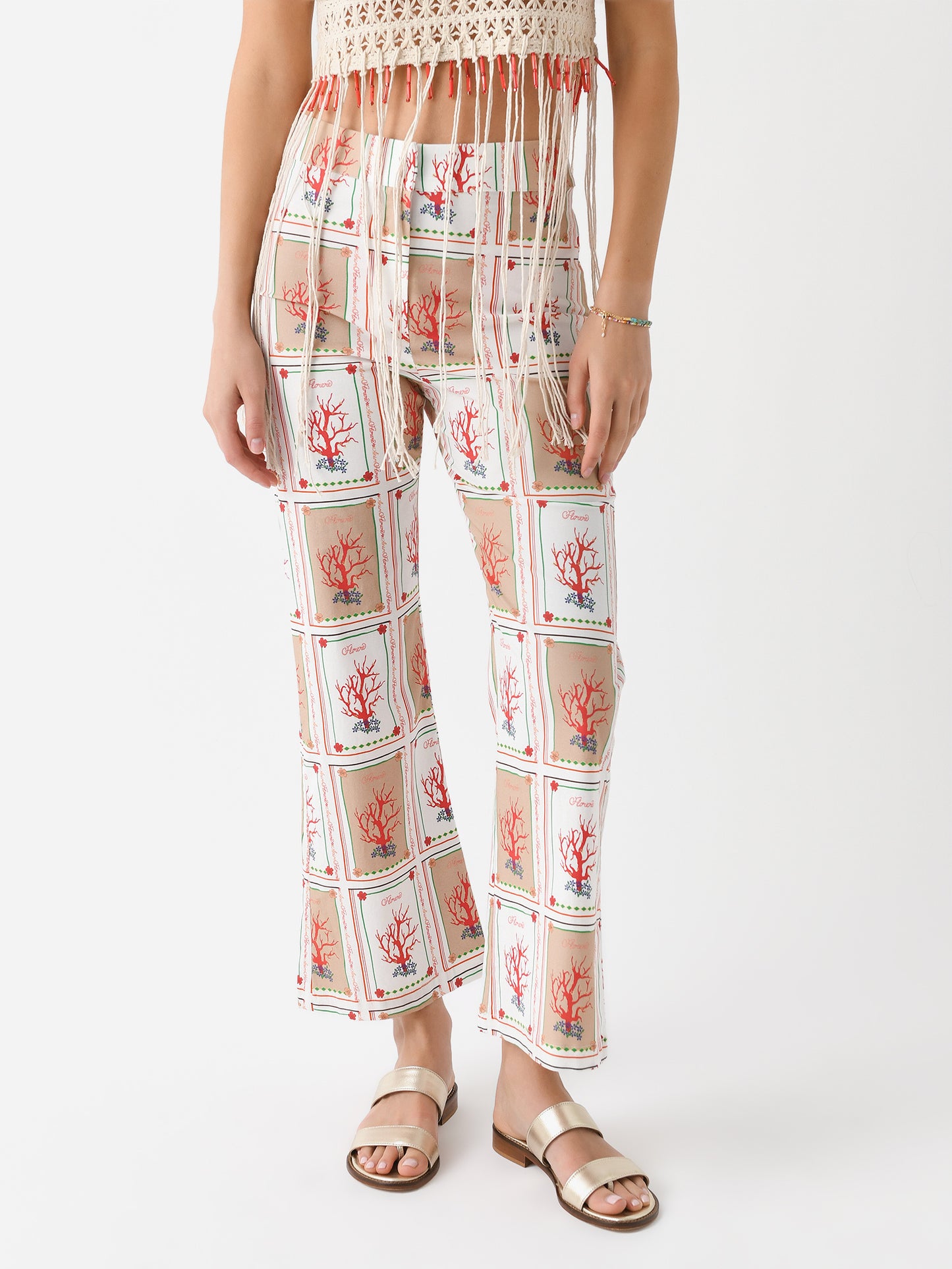 ANIM Women's Lcya Pant - Saint Bernard