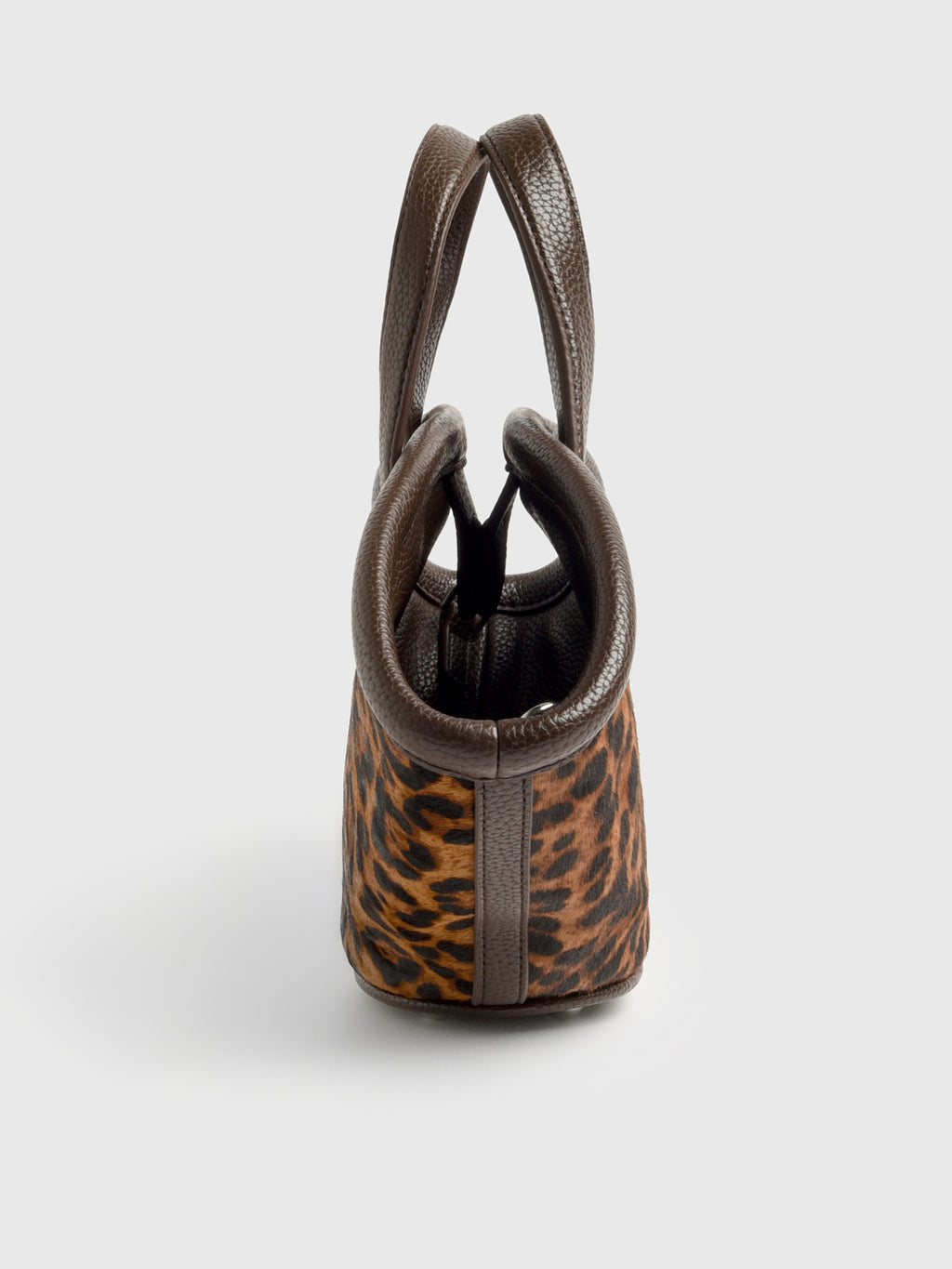 S1048-9086xCHOCOBROWNLEOPARD-alt3