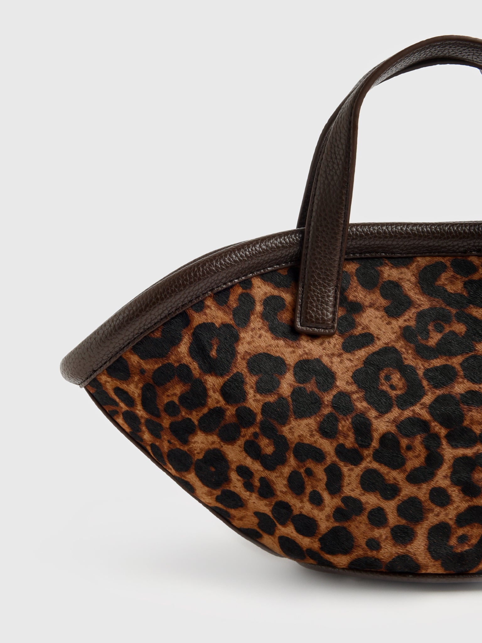 S1048-9086xCHOCOBROWNLEOPARD-alt4