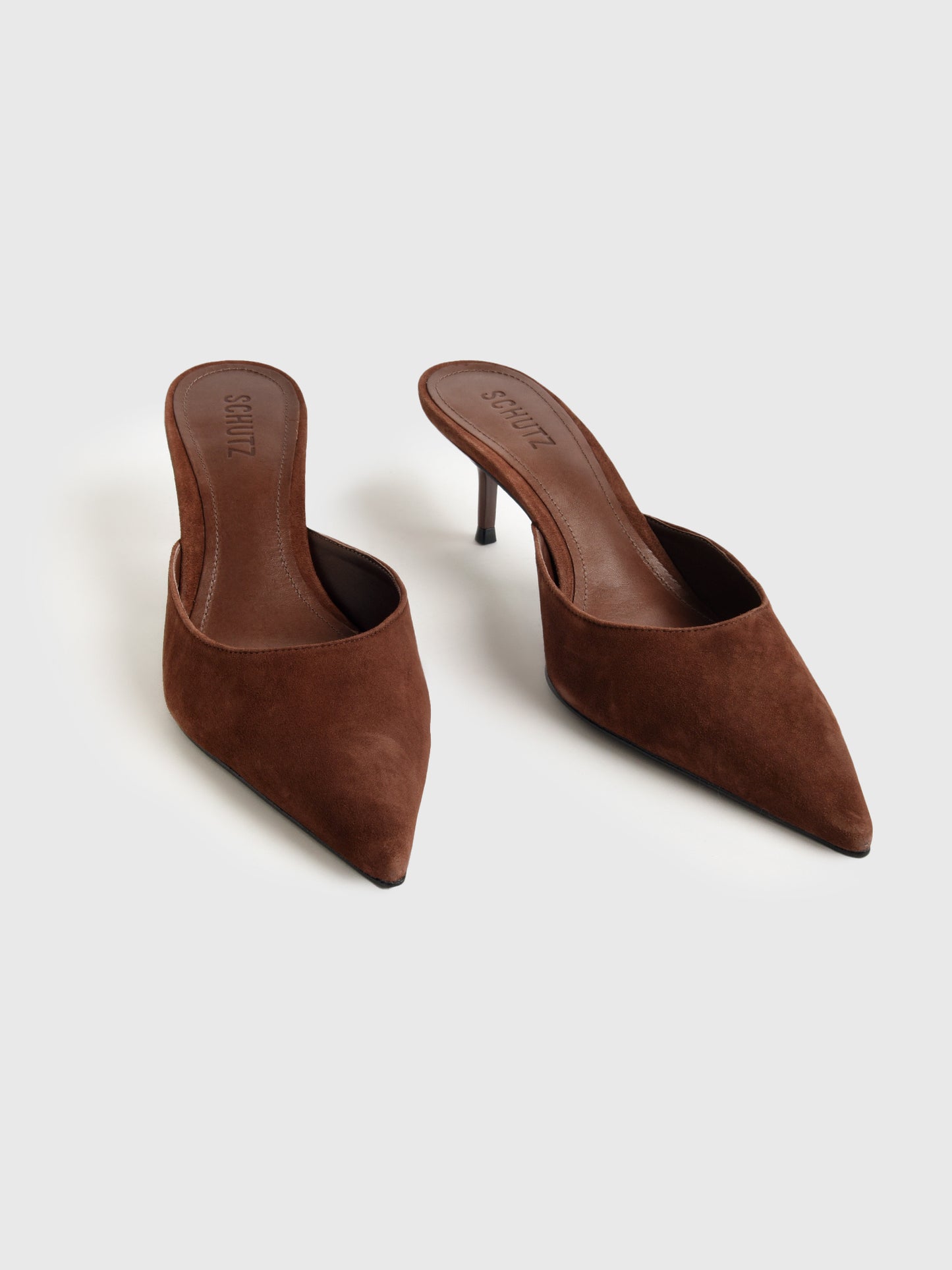 S2217900140009xROOTBROWN-alt4